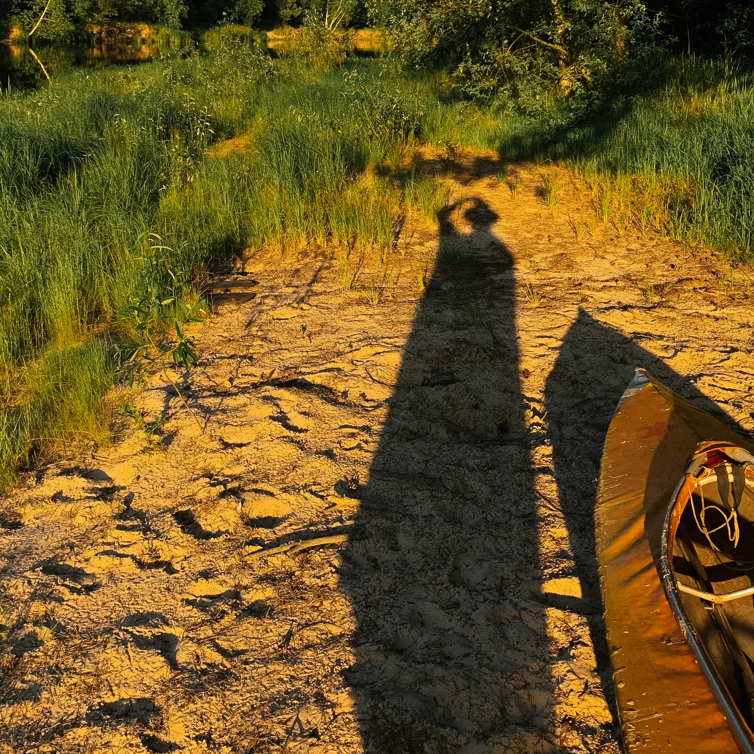 Лучшие фото, снятые на iPhone