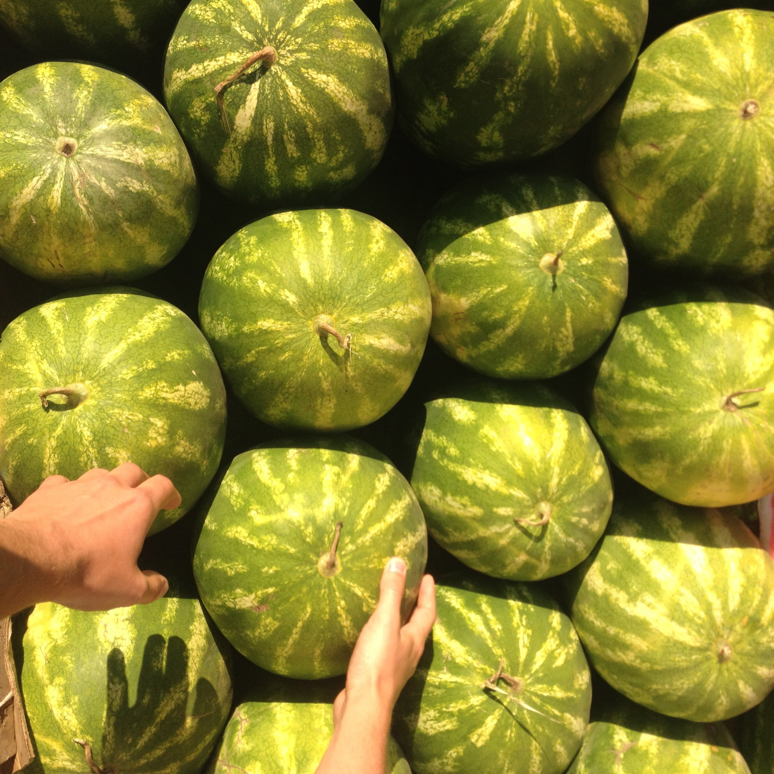 Лучшие фото, снятые на iPhone