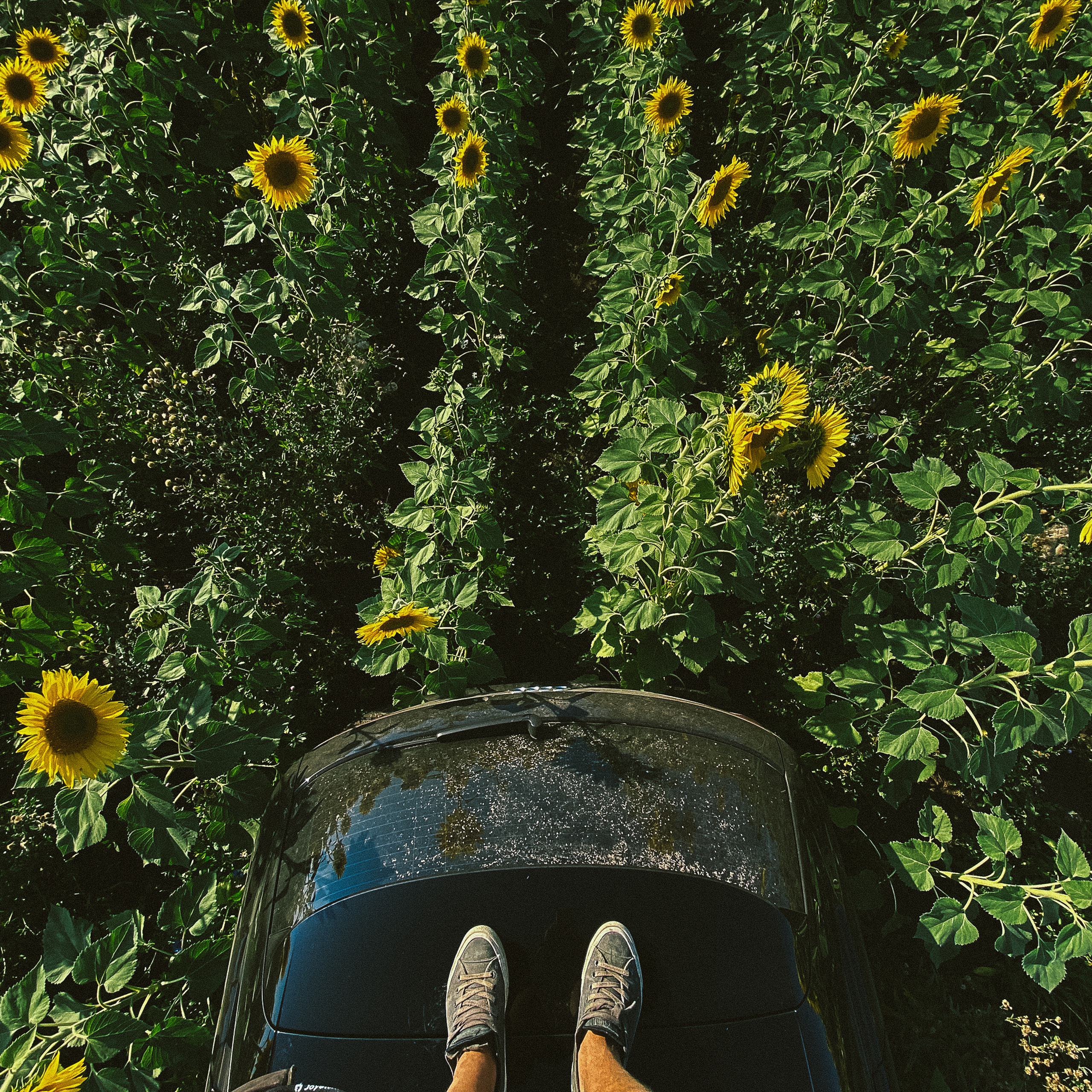 Лучшие фото, снятые на iPhone