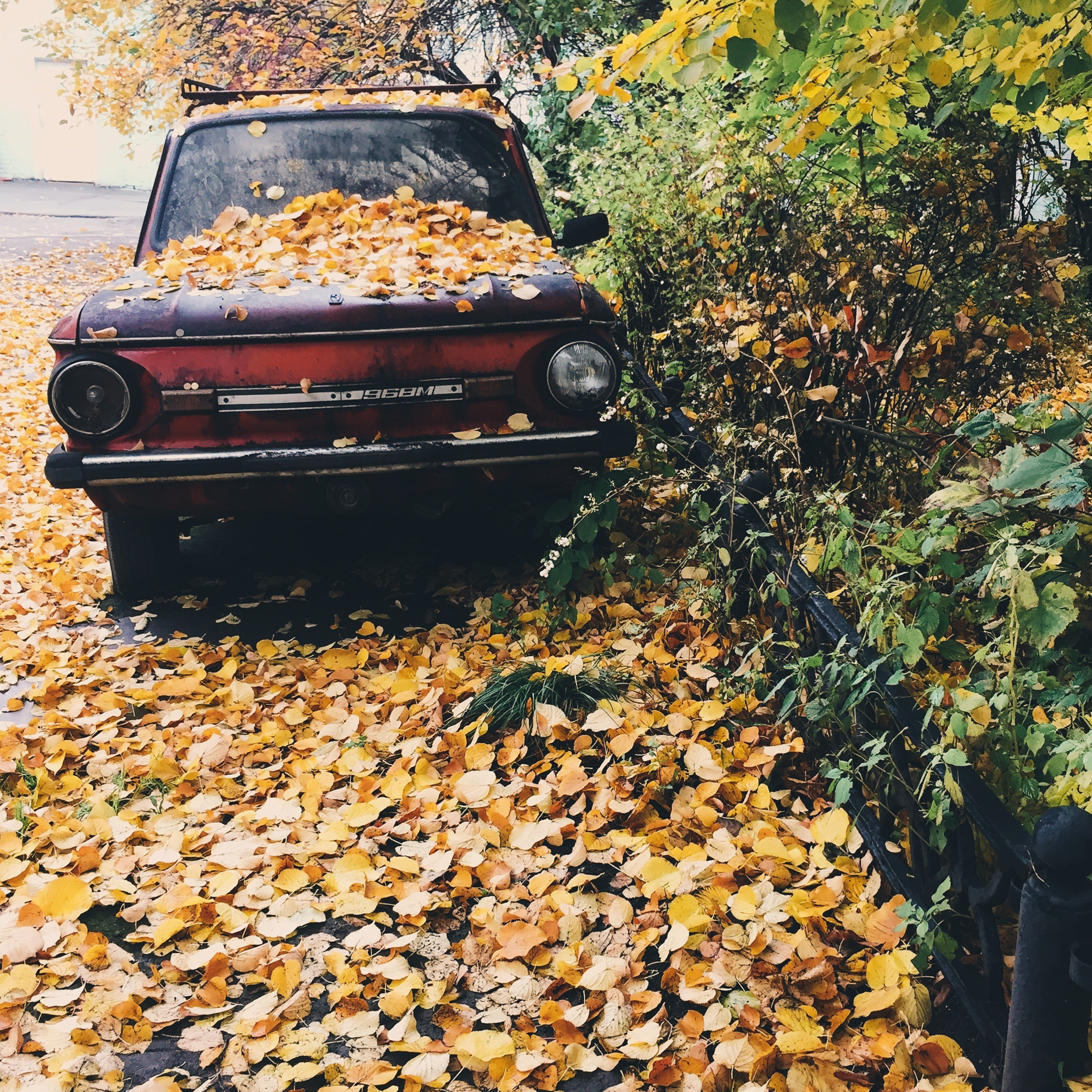 Лучшие фото, снятые на iPhone