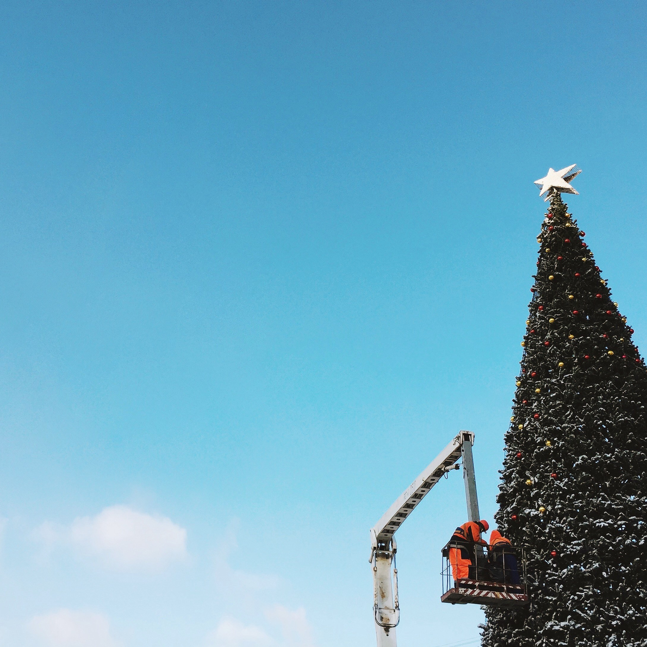 Лучшие фото, снятые на iPhone