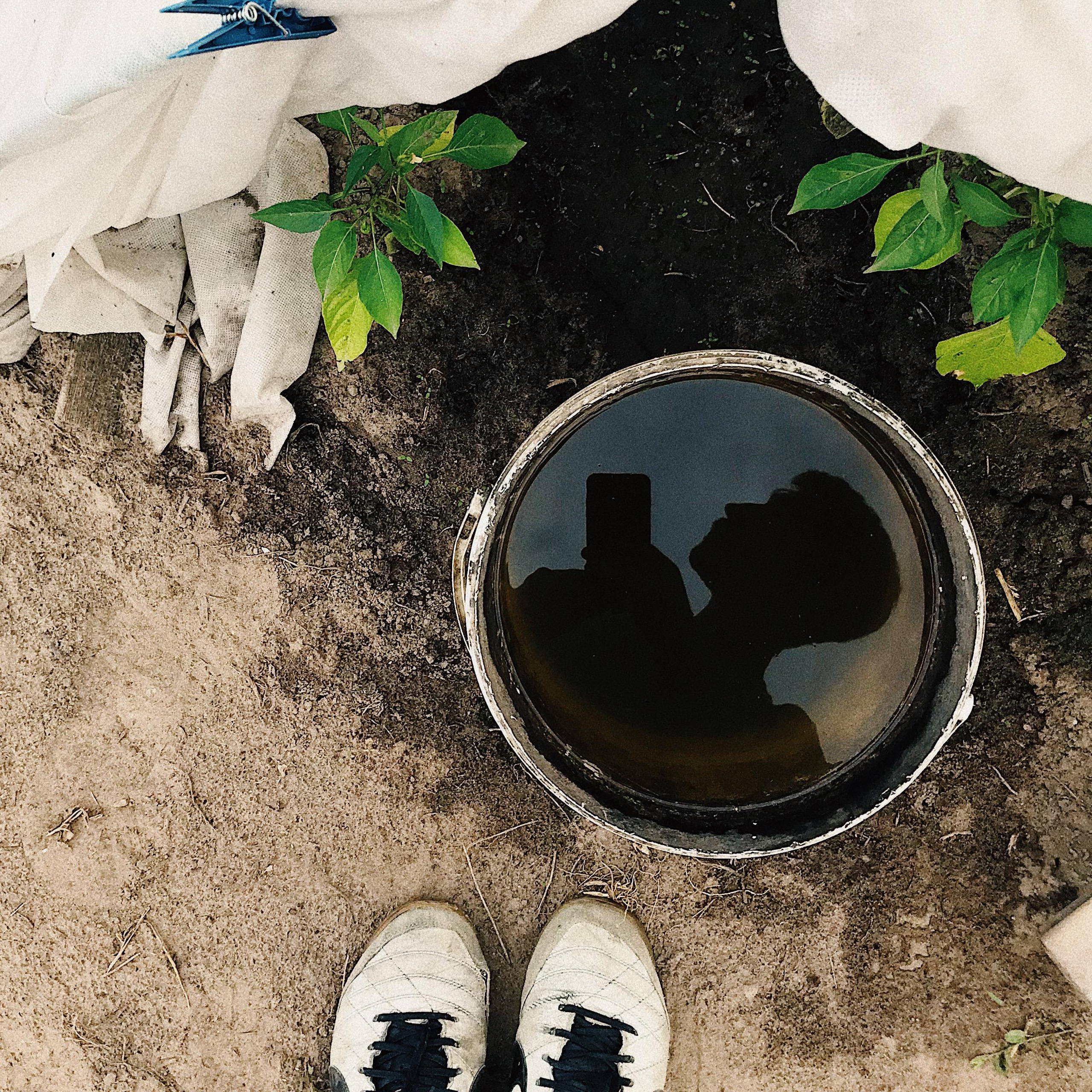 Лучшие фото, снятые на iPhone