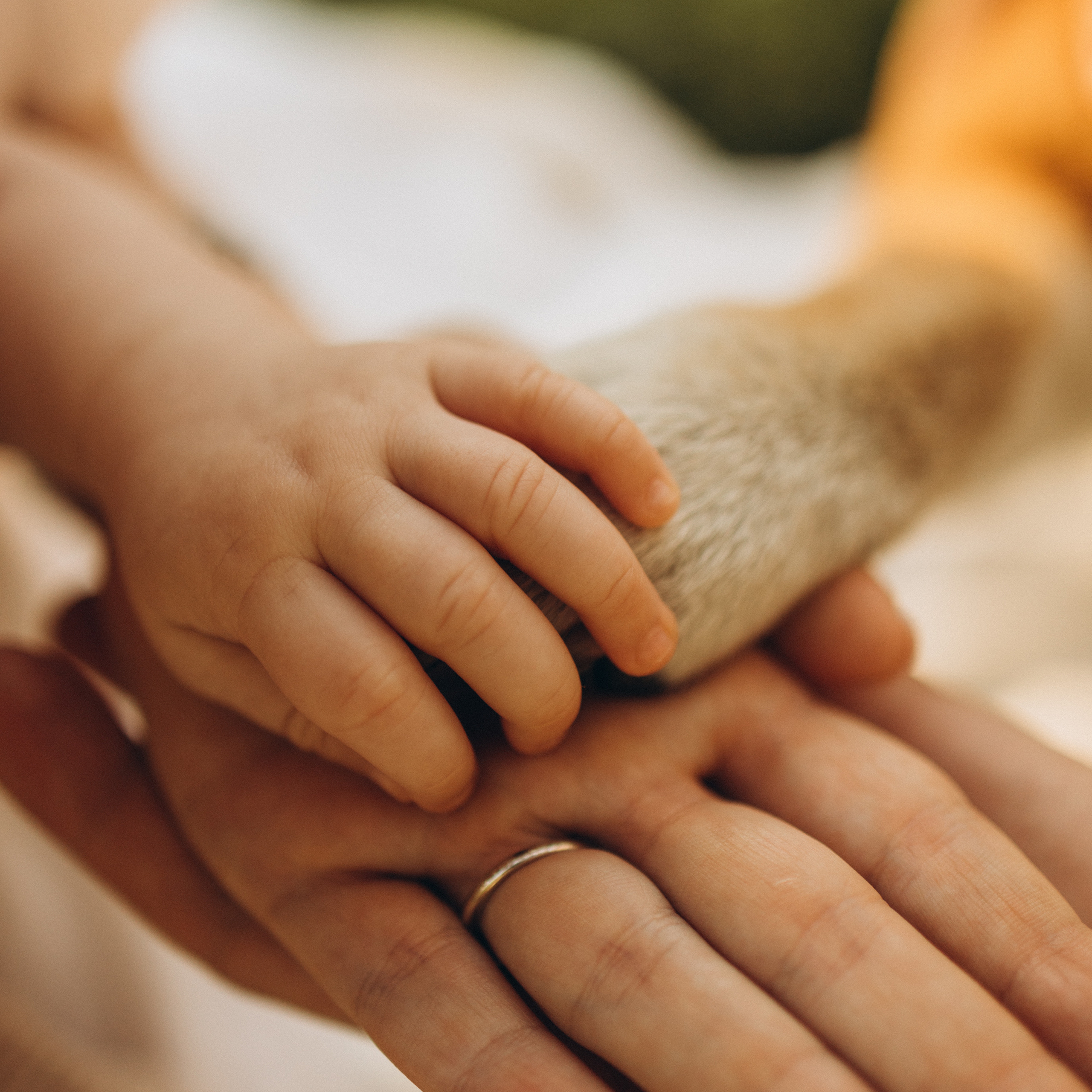 Отзывы. Семейный фотограф Москва Валерия Белова