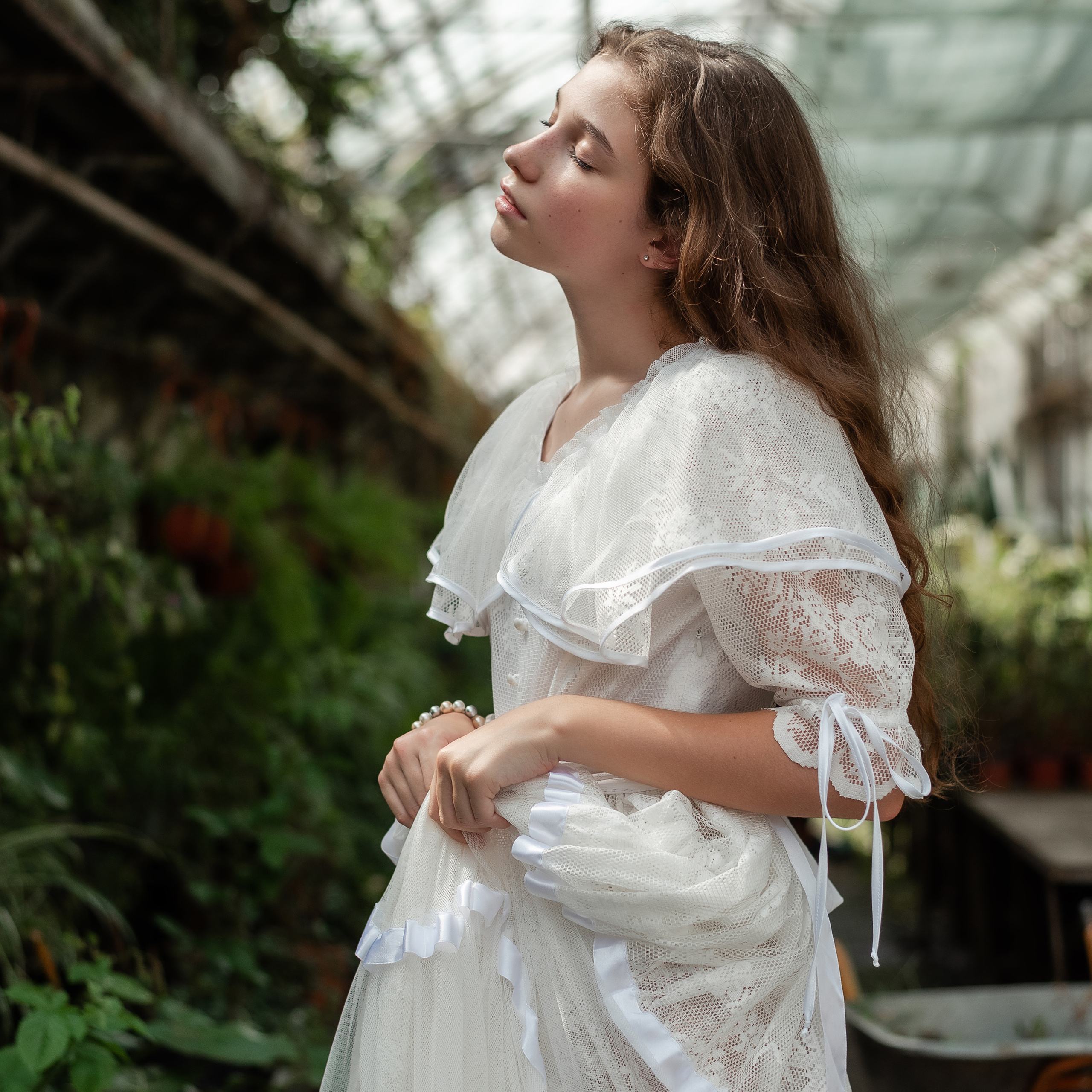 Утро в теплице