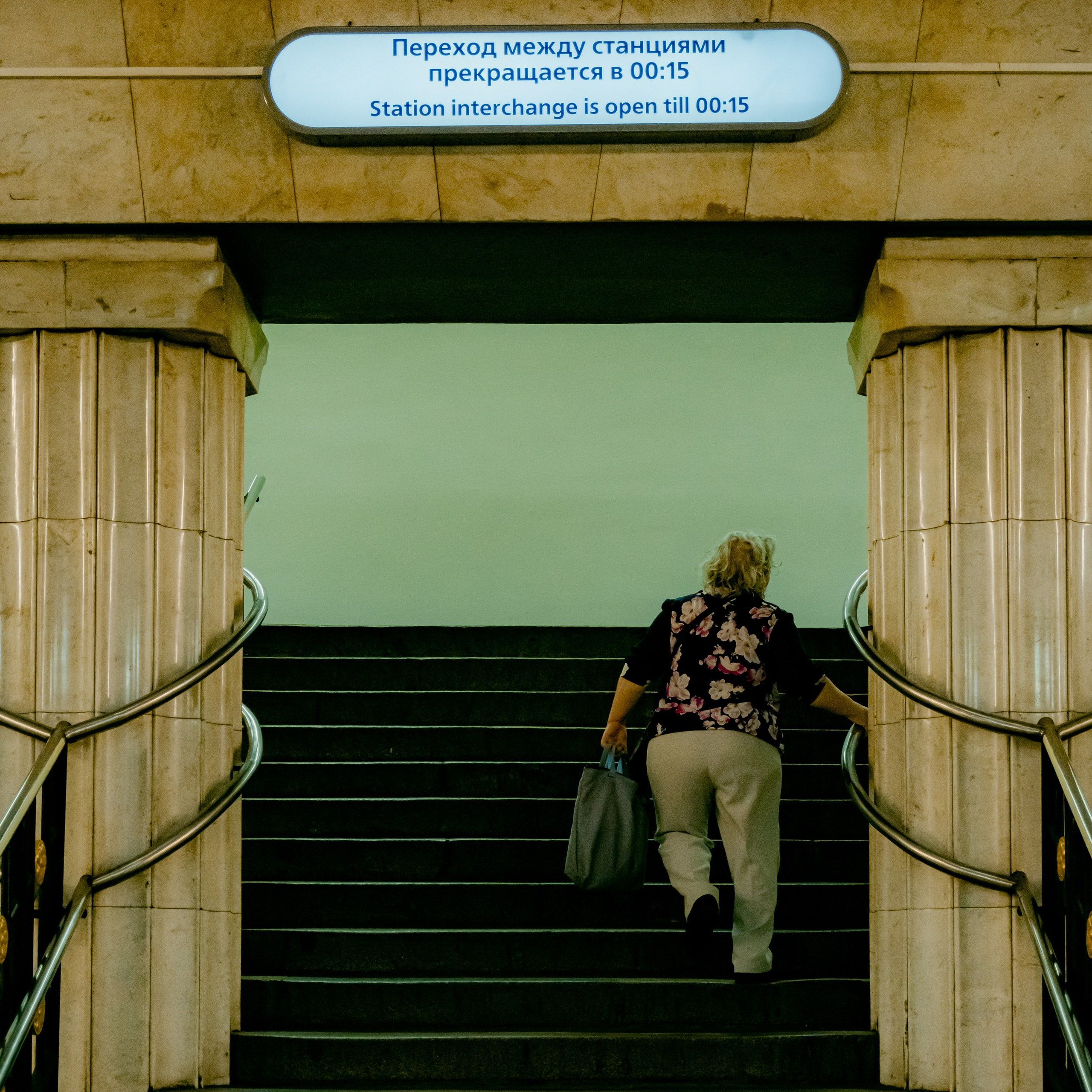 Дуальная организация