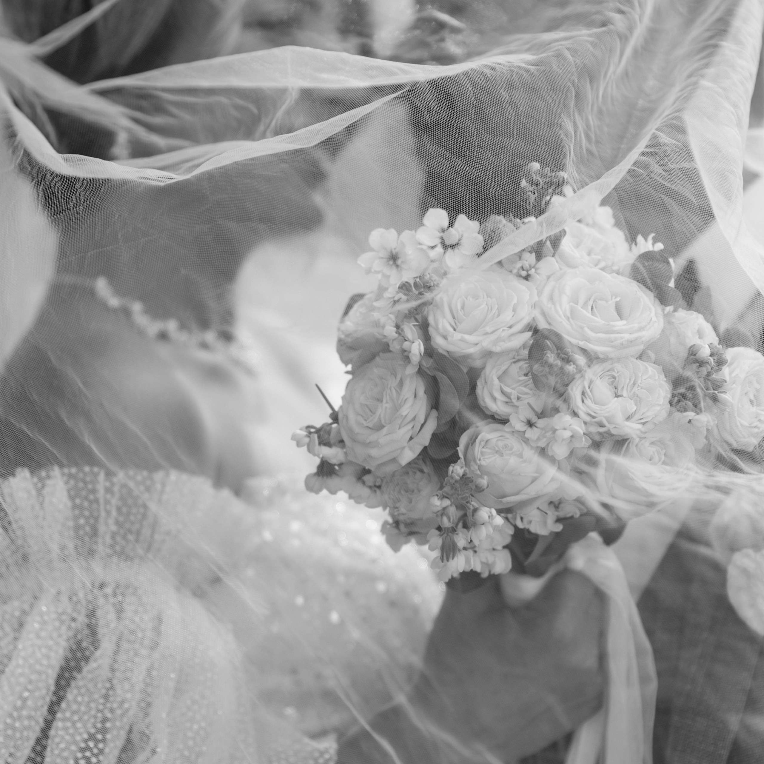 Отзывы. Фотограф Сергиев Посад Москва Хованская Екатерина