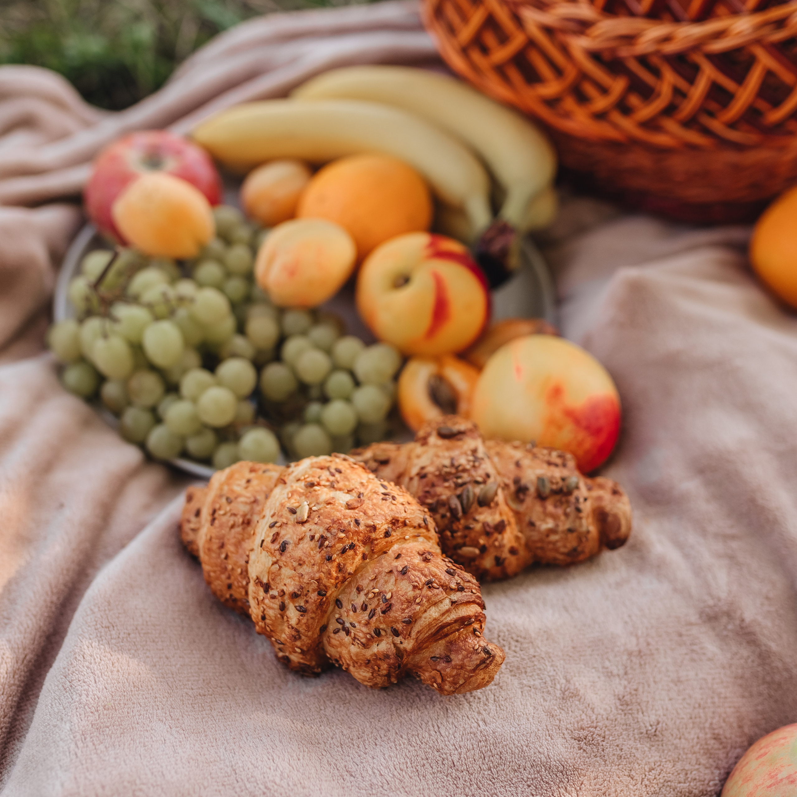 Пикник в лесу