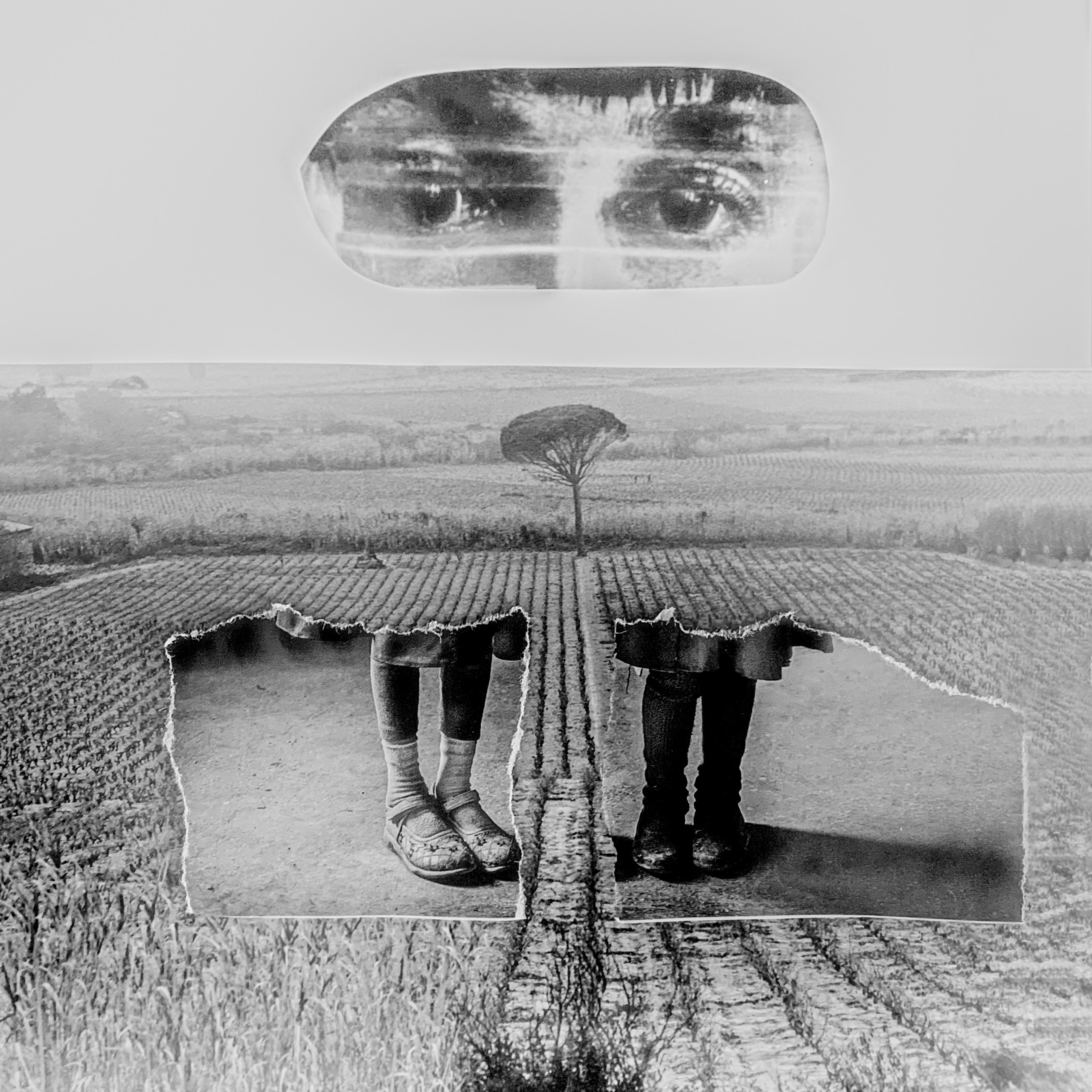 Слёзы и надежды моей матери