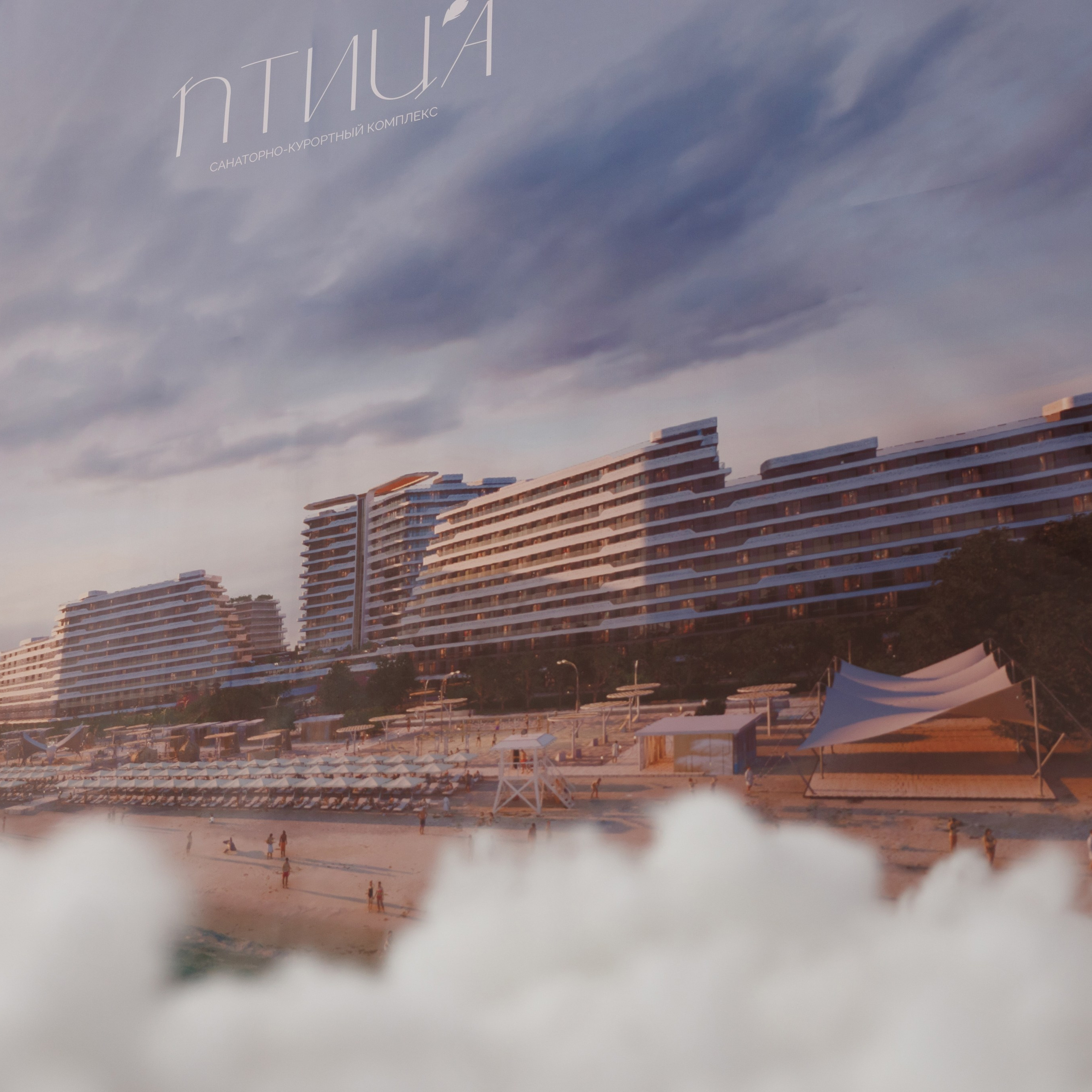 Отзывы. Репортажный Фотограф в Сочи и Москве Алексей Орлов