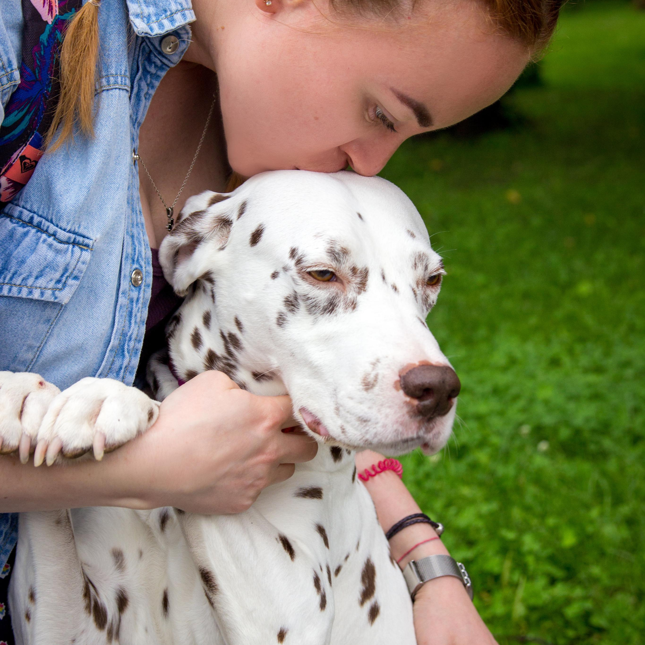 Семейный и свадебный фотограф в Перми