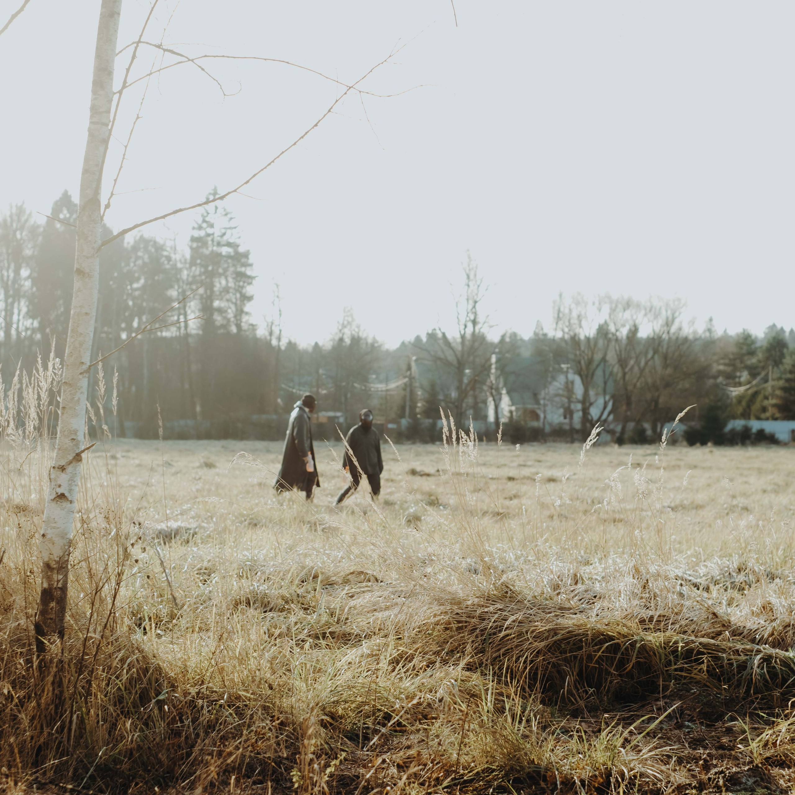 Terra Nova: Пробуждение |Грани Миров