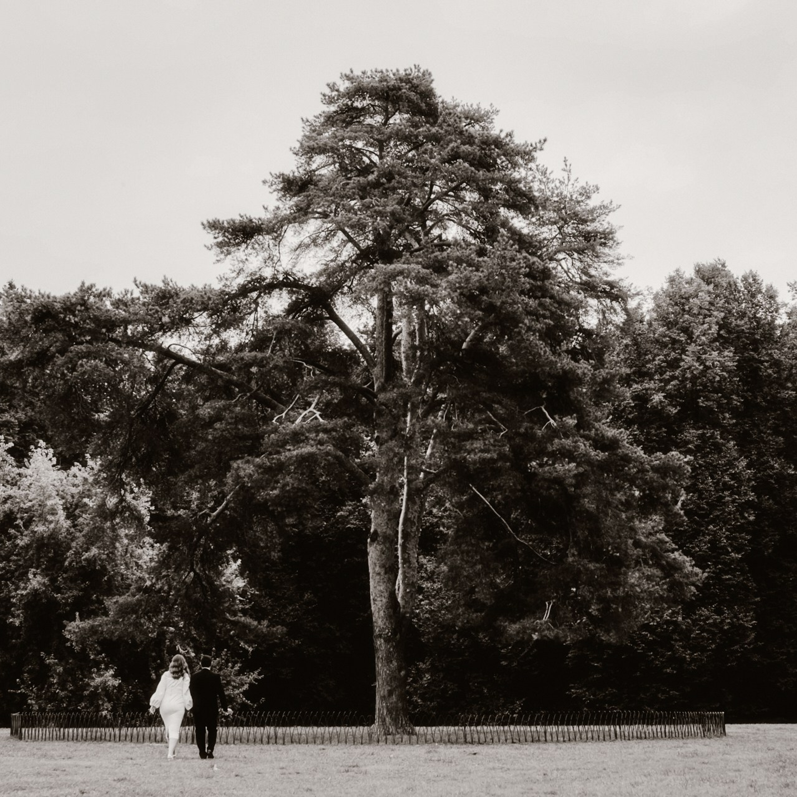 Passing Time Wedding| Юрий и Татьяна