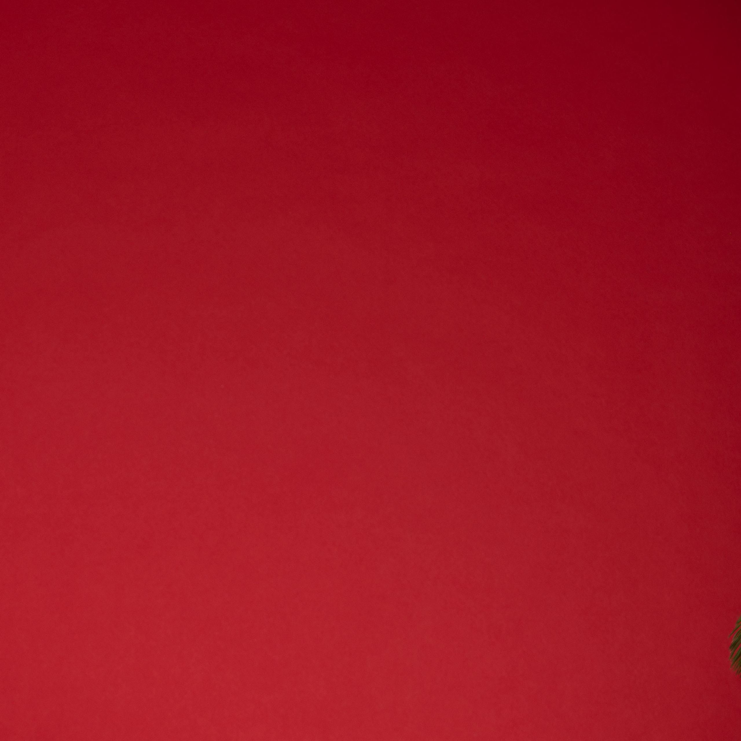 Отзывы. Женский фотограф в Москве Светлана Смагина