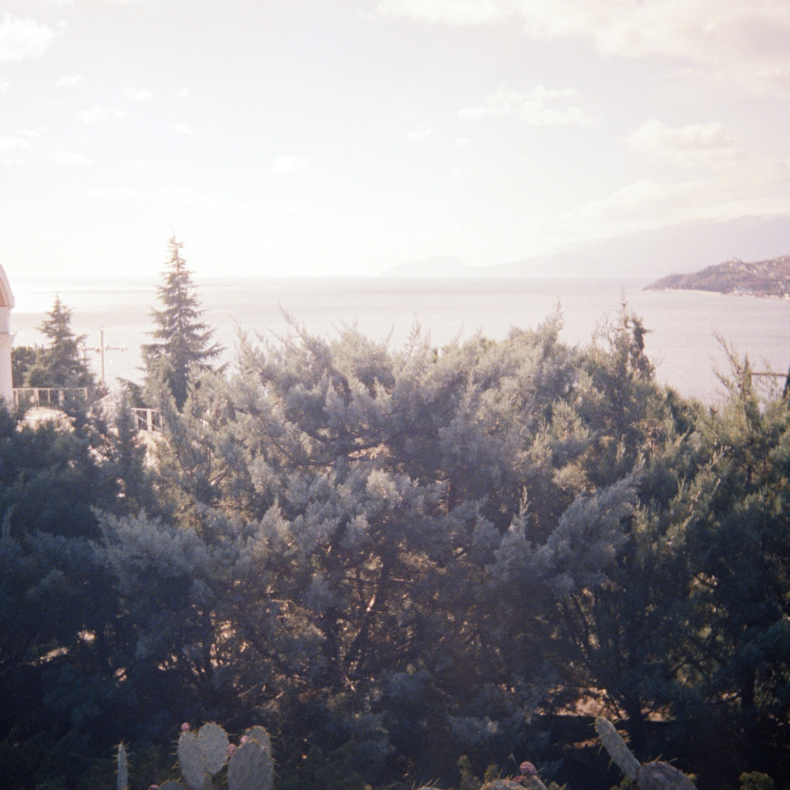 ГОРОД. Виктория Князева| фотограф из Санкт-Петербурга