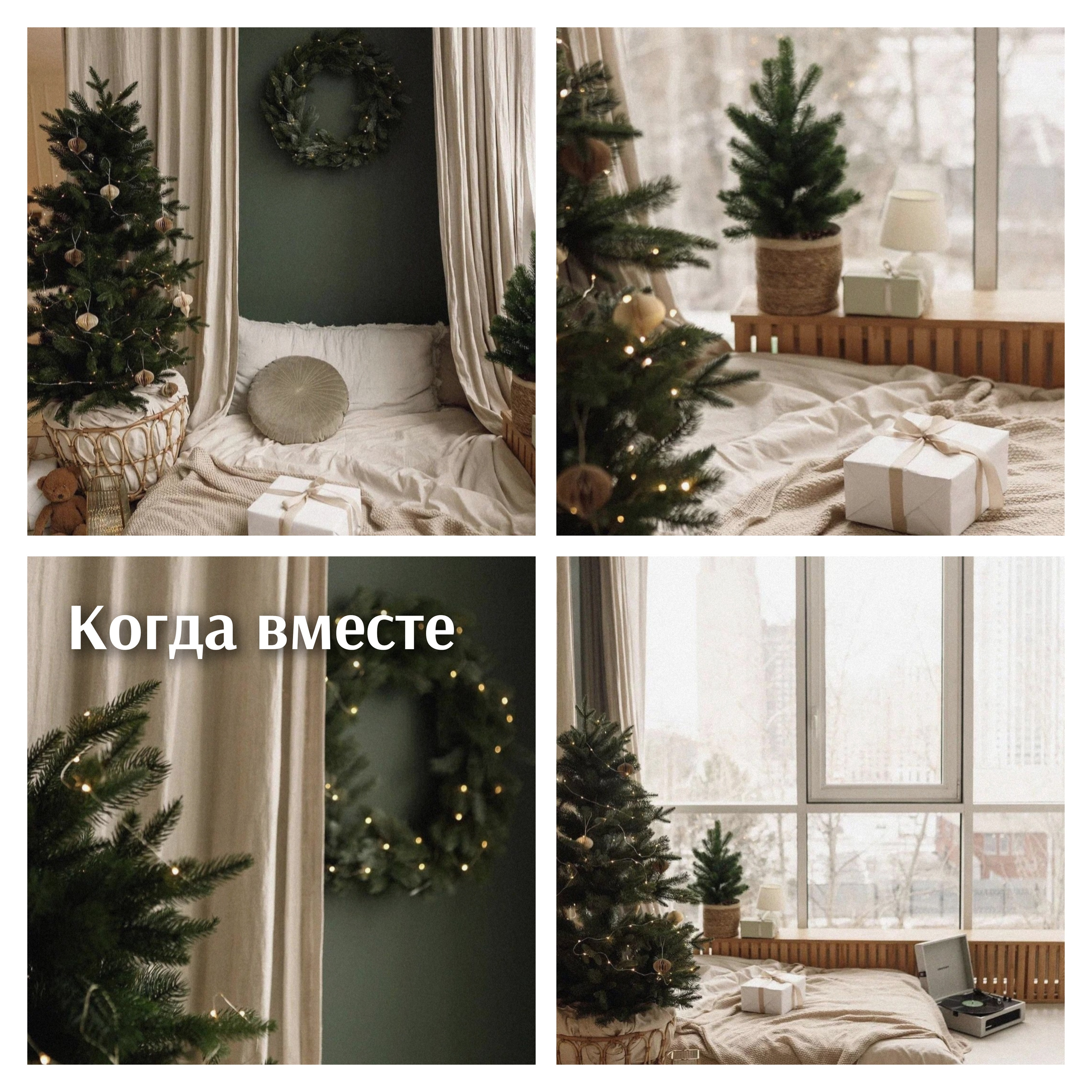 Новогодние фотосессии в студиях Владивостока. Фотограф во Владивостоке