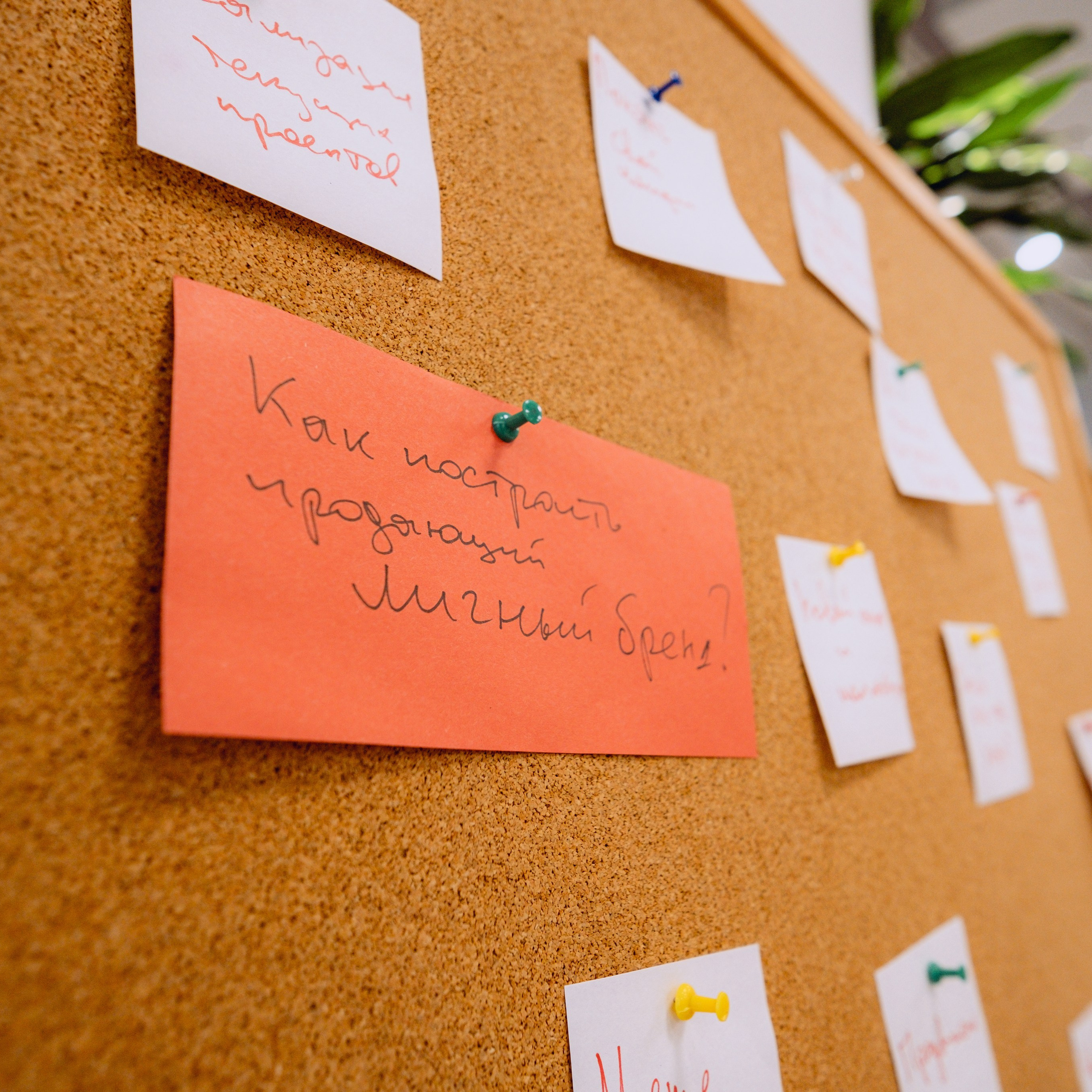 Отзывы. Фотограф и видеограф в Северной столице