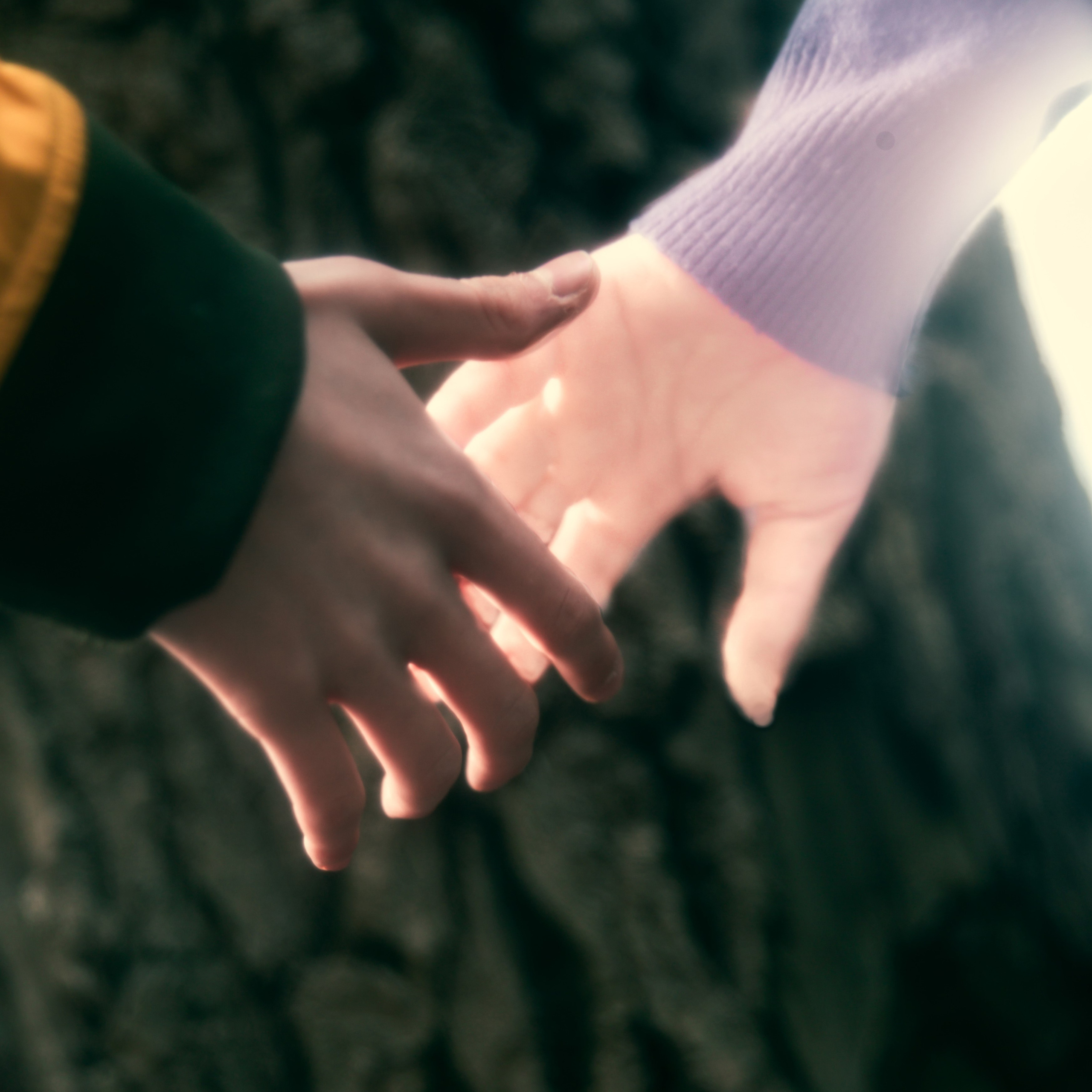 Проект «Отменённая жизнь»