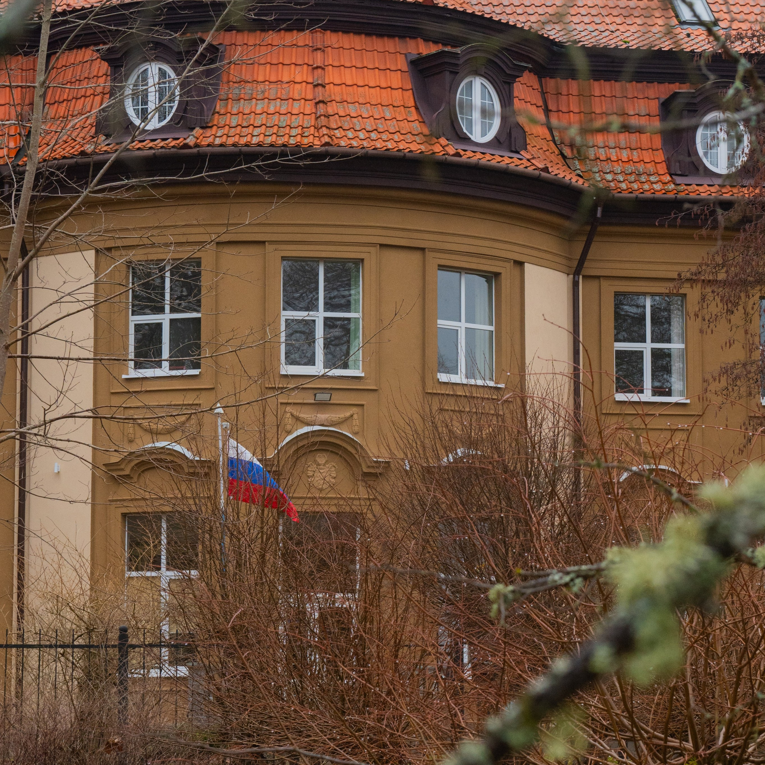 Отзывы о выпускных альбомах. Фотограф Вера Демидкова