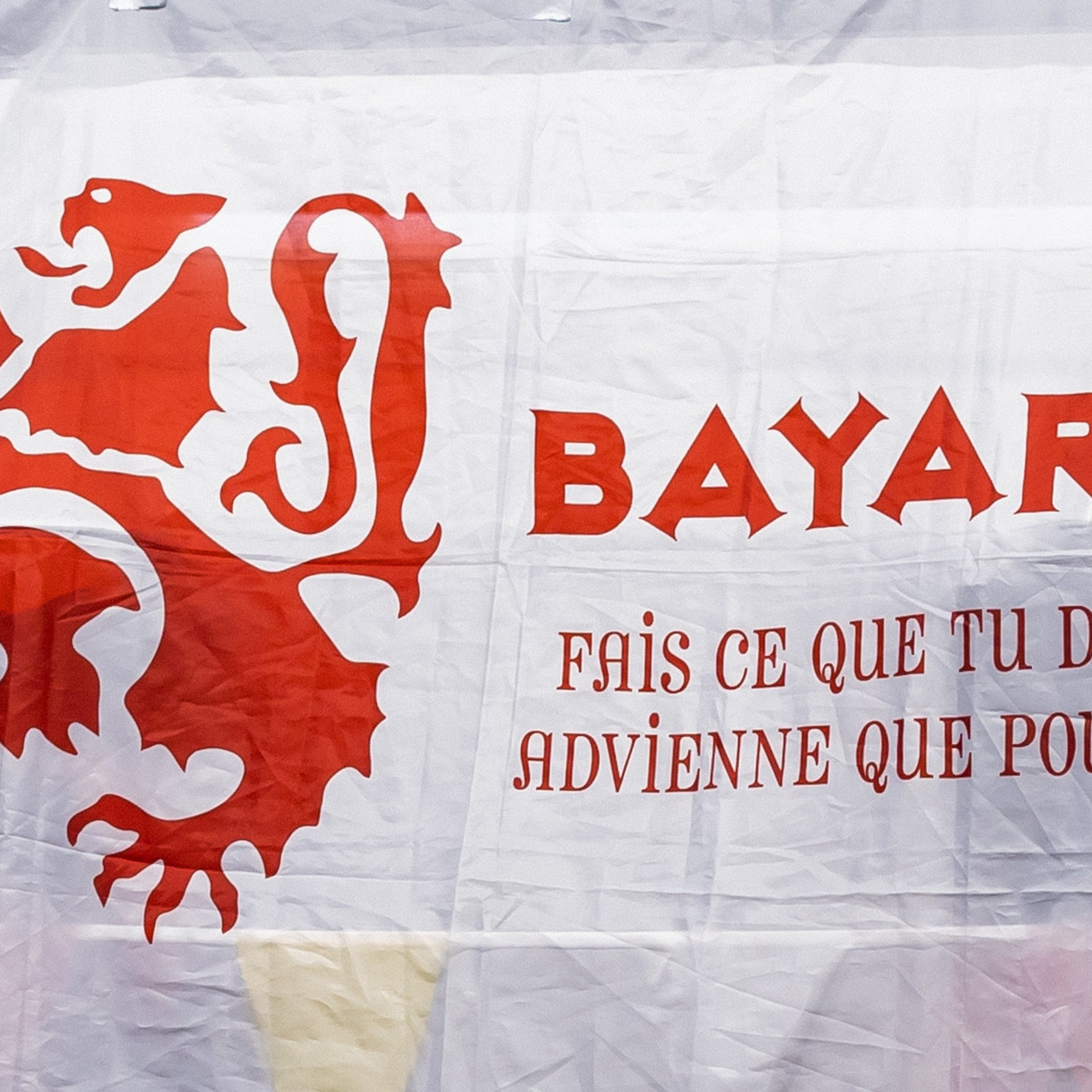 Пермь. Турнир " Белка, Лев и Урал "