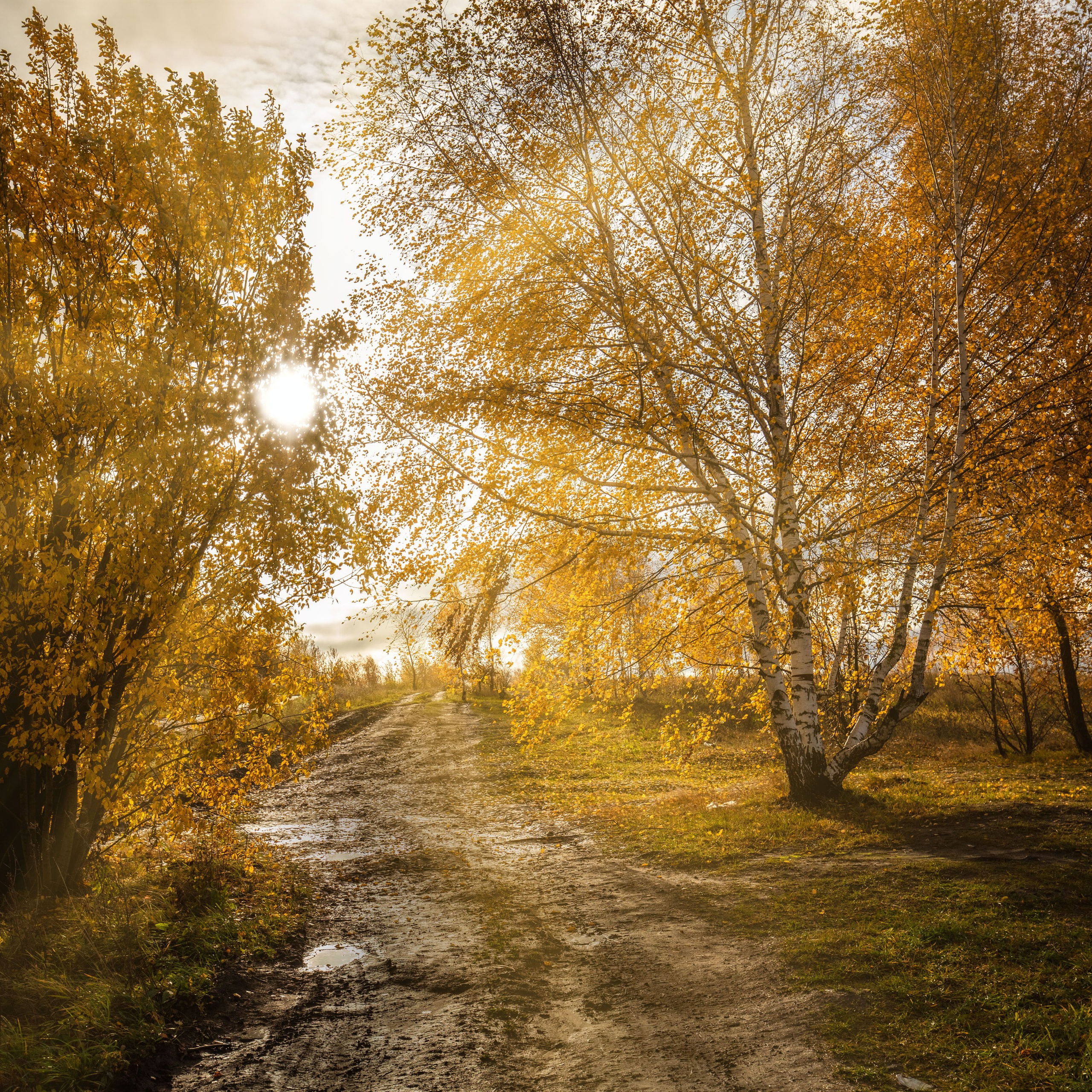 Тульская обл