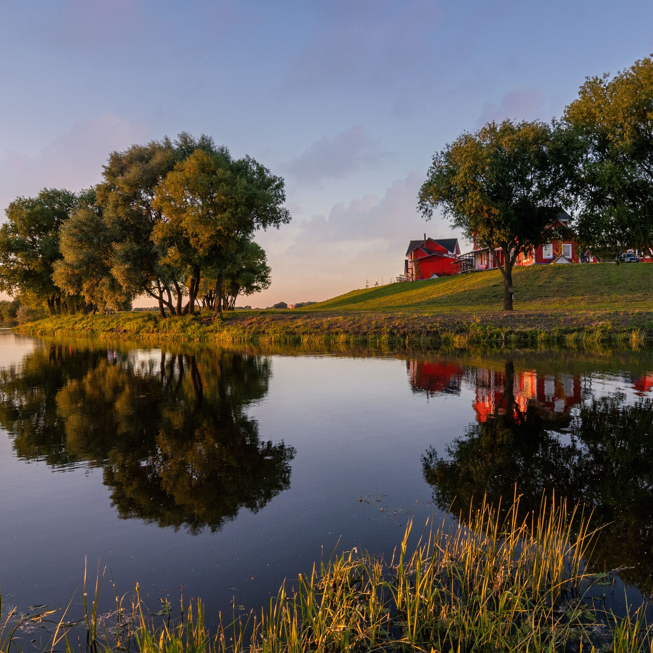 Рязанская обл
