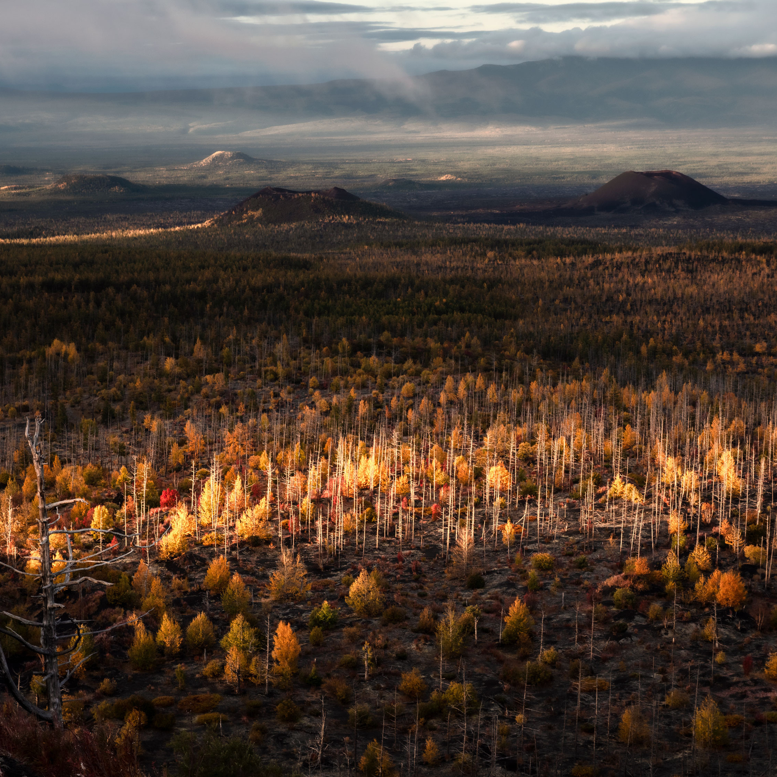 Камчатка. Долина вулканов.