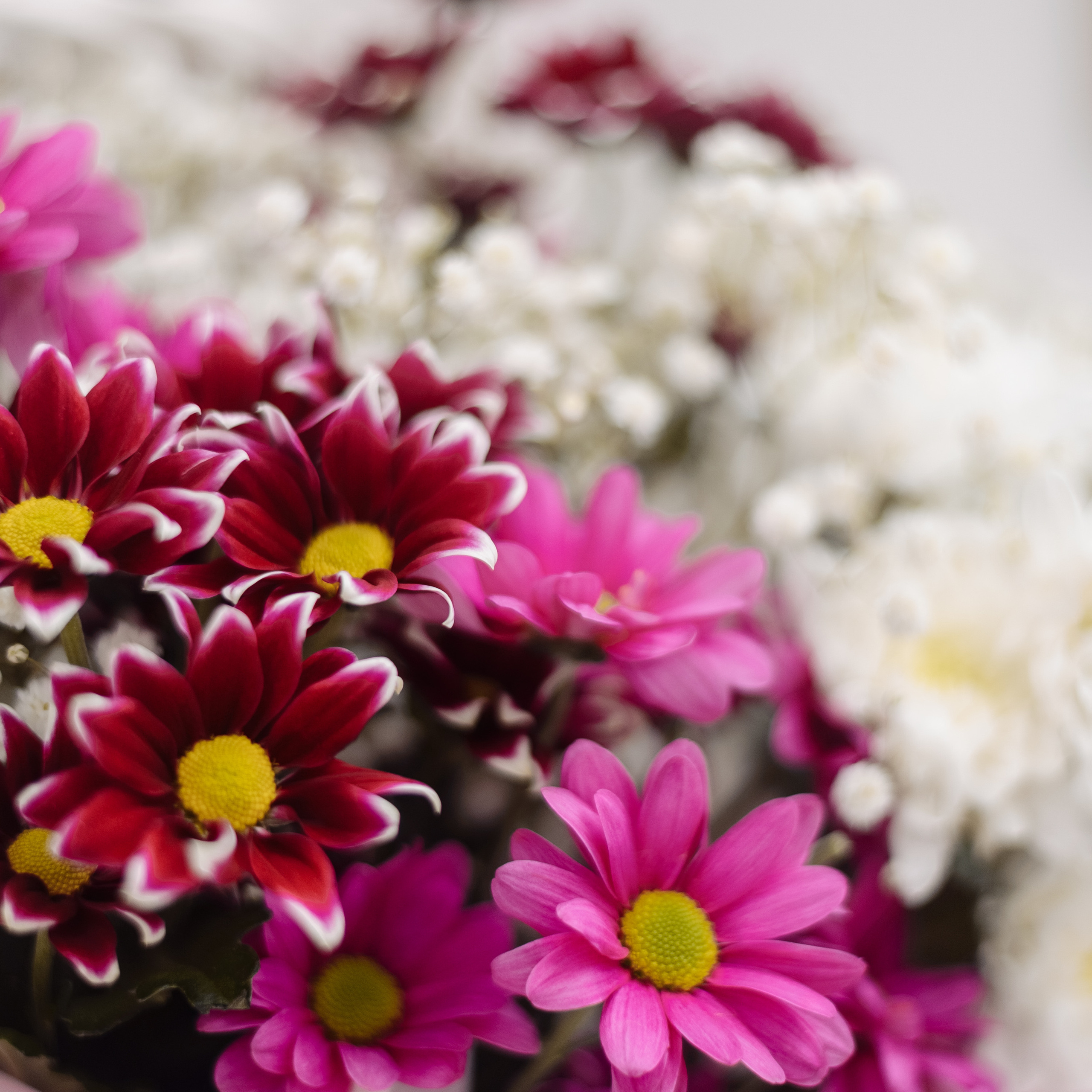 Отзывы о фотографе Максиме Ершове. Семейный и свадебный фотограф в Краснодаре Максим Ершов