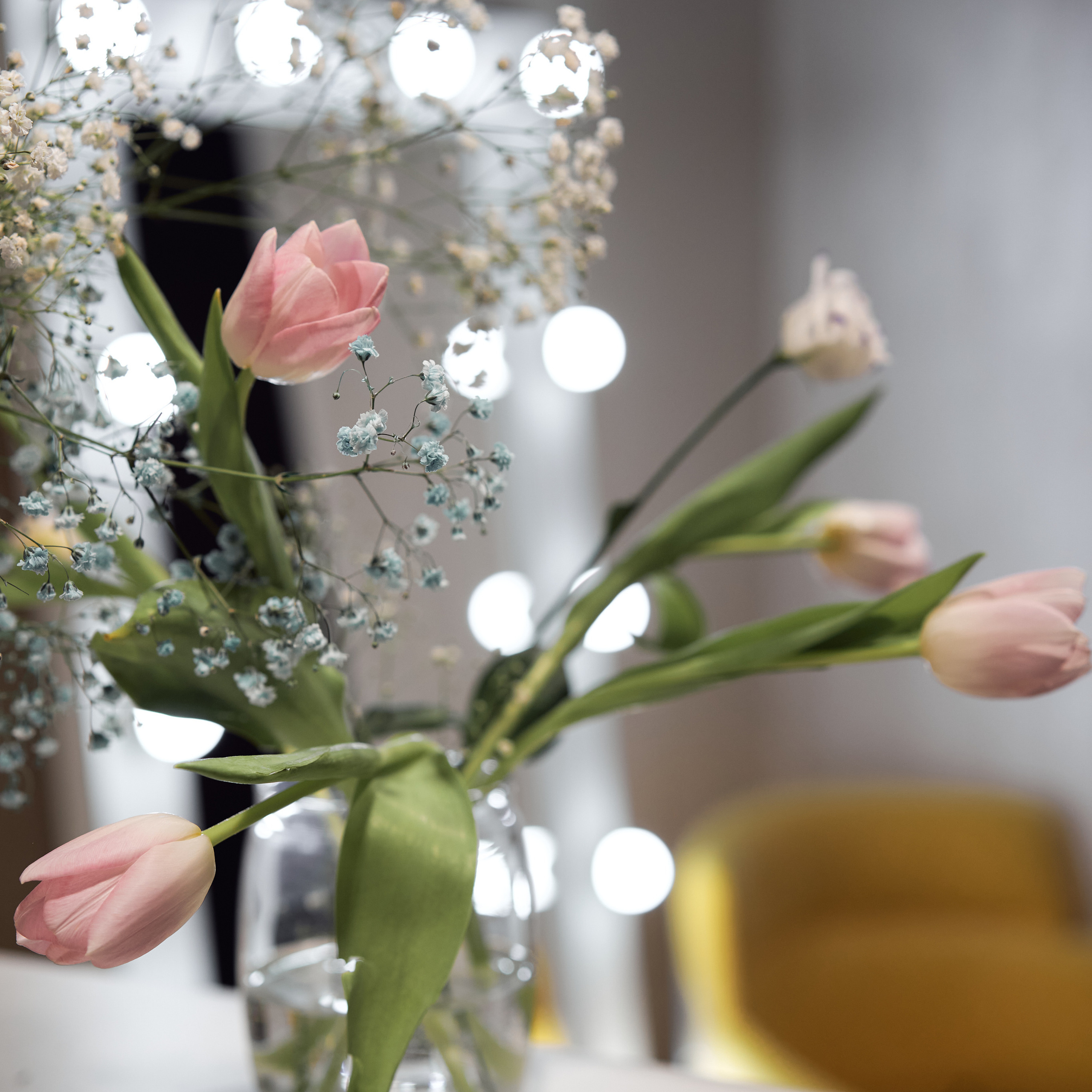 Отзывы о фотосессиях. Индивидуальный и семейный фотограф в Москве и городе Видное Екатерина Чернышова