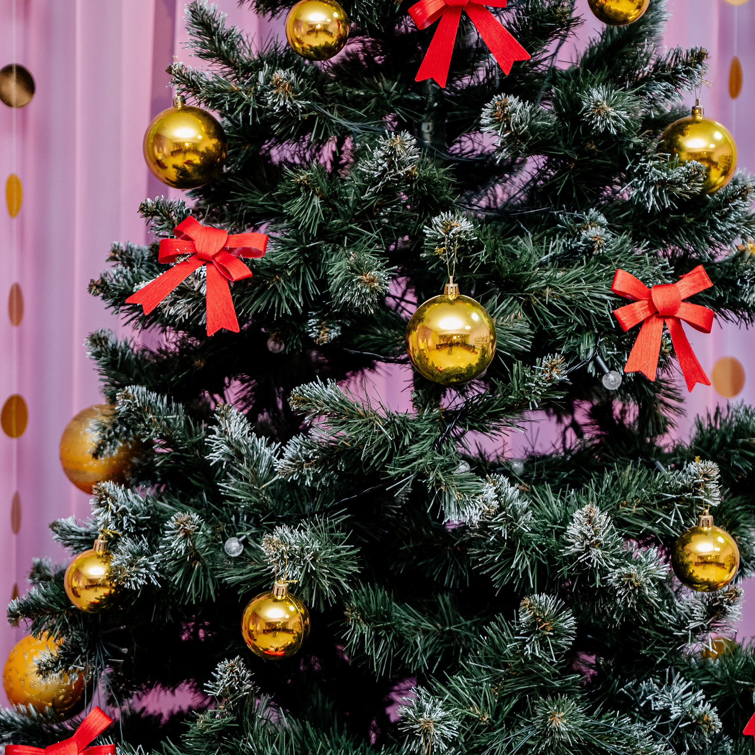 Отзывы. Свадебный и семейный фотограф в Сочи Никита Пищов