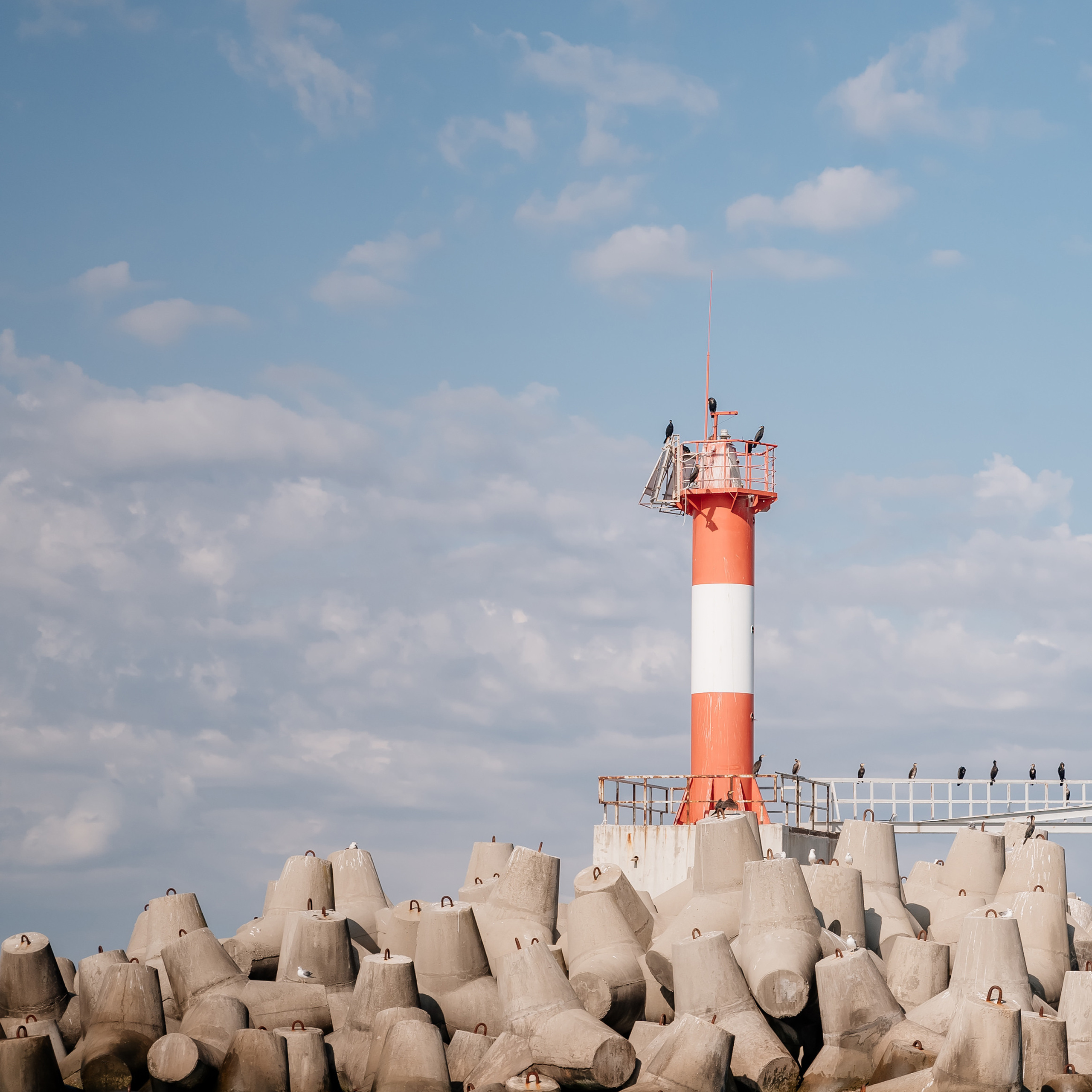 Отзывы. Свадебный и семейный фотограф в Сочи Никита Пищов