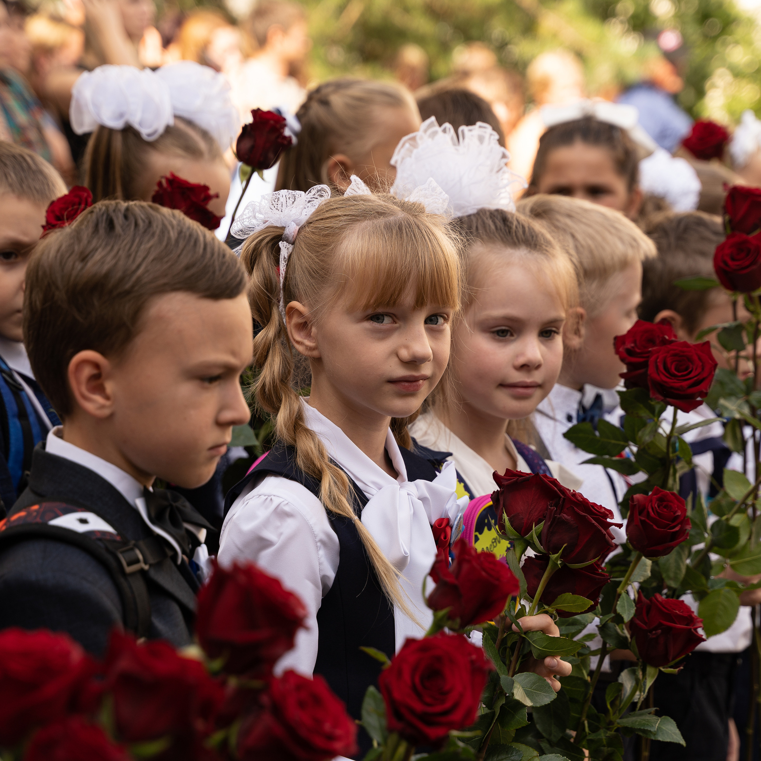 Лестов отзывы
