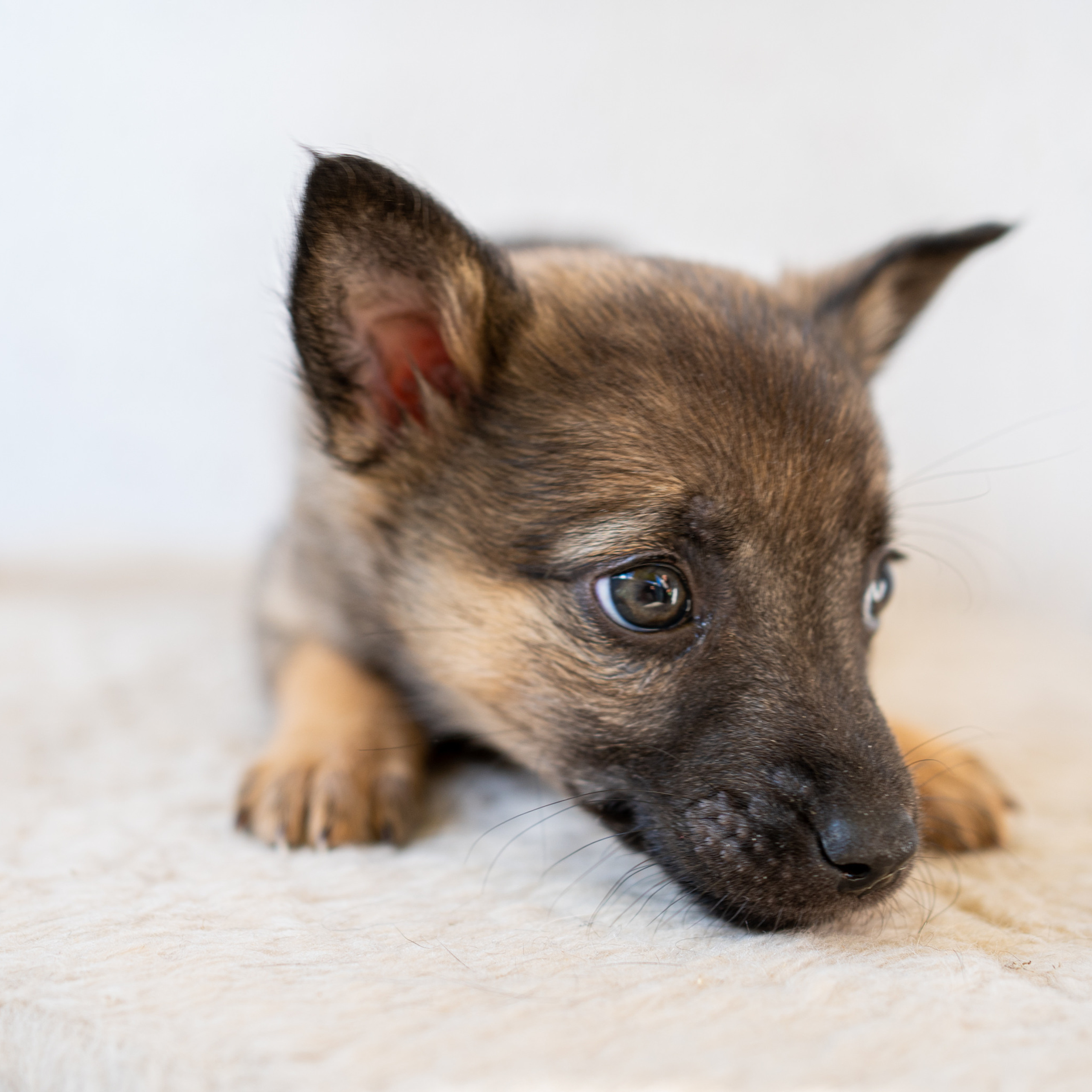 Отзывы. Женский, лайфстайл фотограф, минск, семейный, новорожденных, портретный