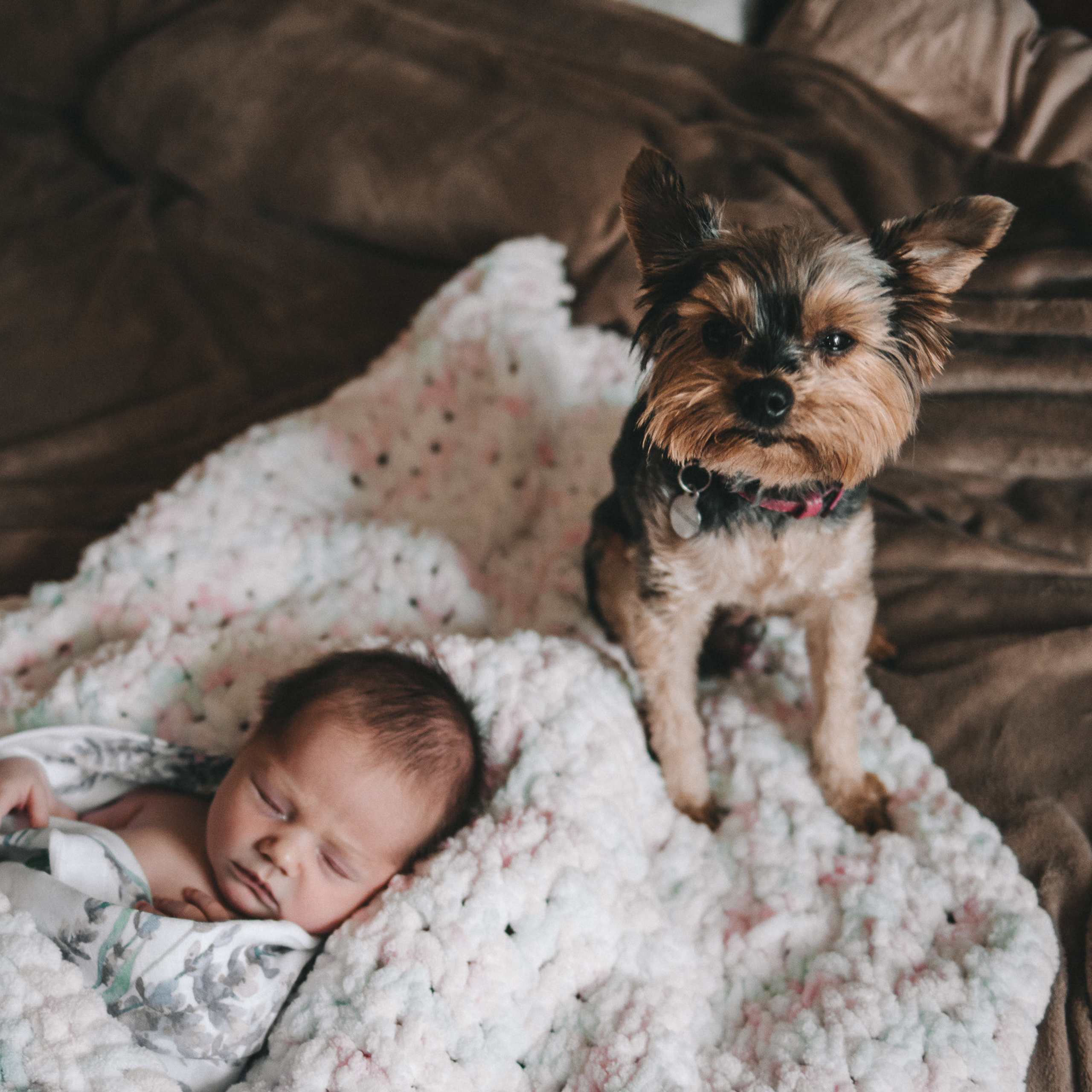 Отзывы. Фотограф новорожденных в стиле lifestyle в Воронеже Юлия Ключникова