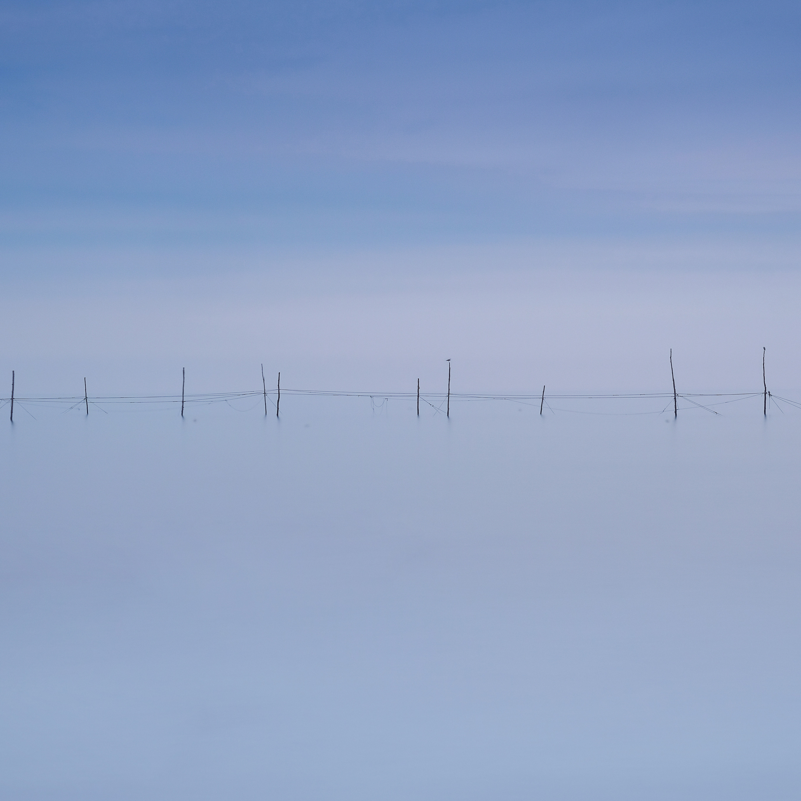 Краснодарский край и Адыгея. Пейзажный фотограф Олеся Федосеенкова. Фудфотограф в Туапсе, Краснодар