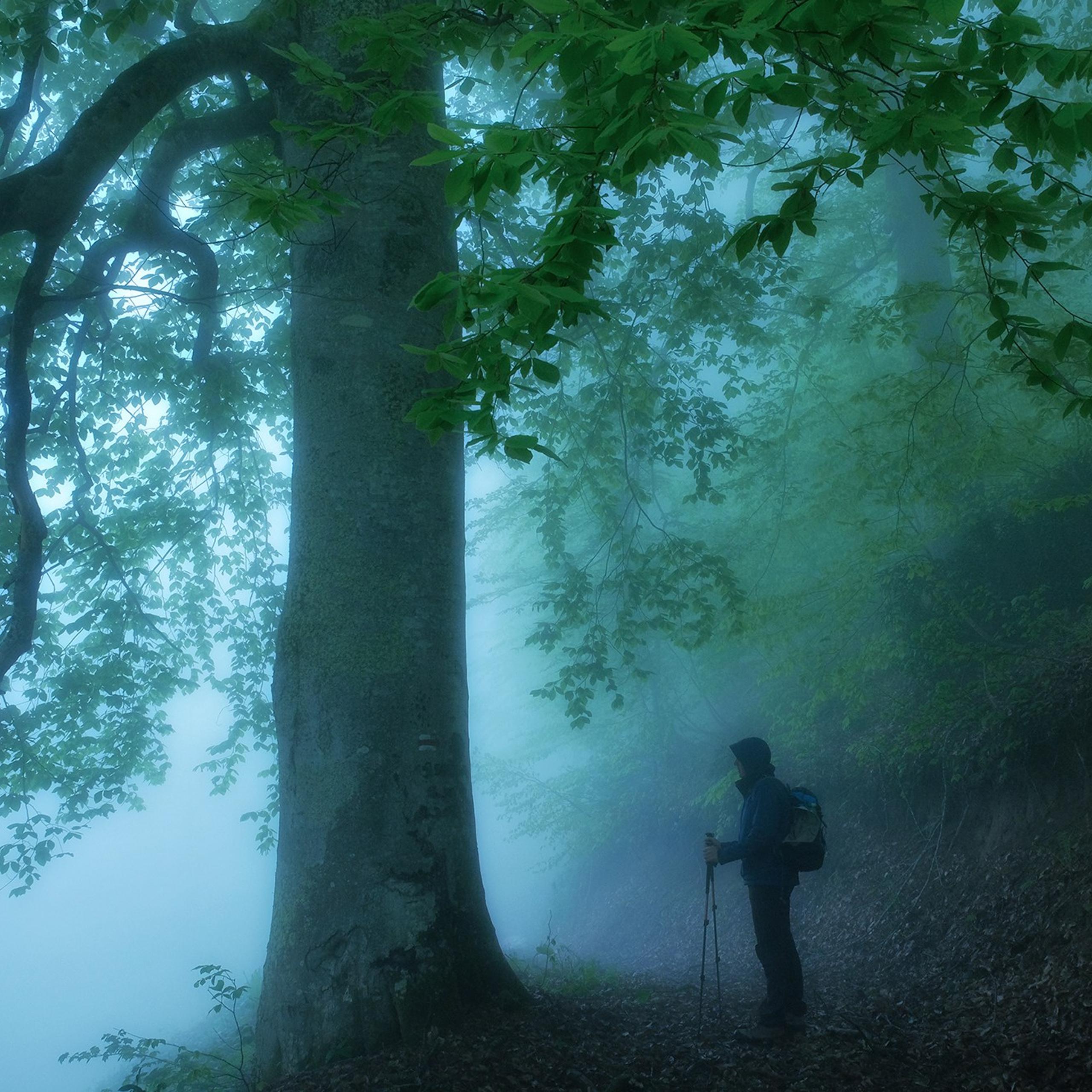Грузия. Пейзажный фотограф Олеся Федосеенкова. Фудфотограф в Туапсе, Краснодар