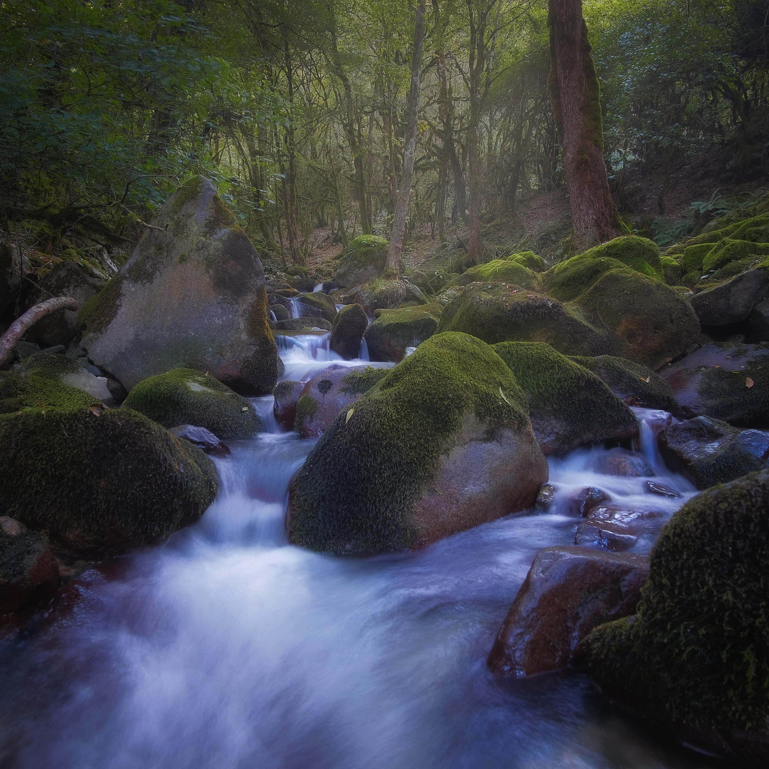 Живая вода. Пейзажный фотограф Олеся Федосеенкова. Фудфотограф в Туапсе, Краснодар