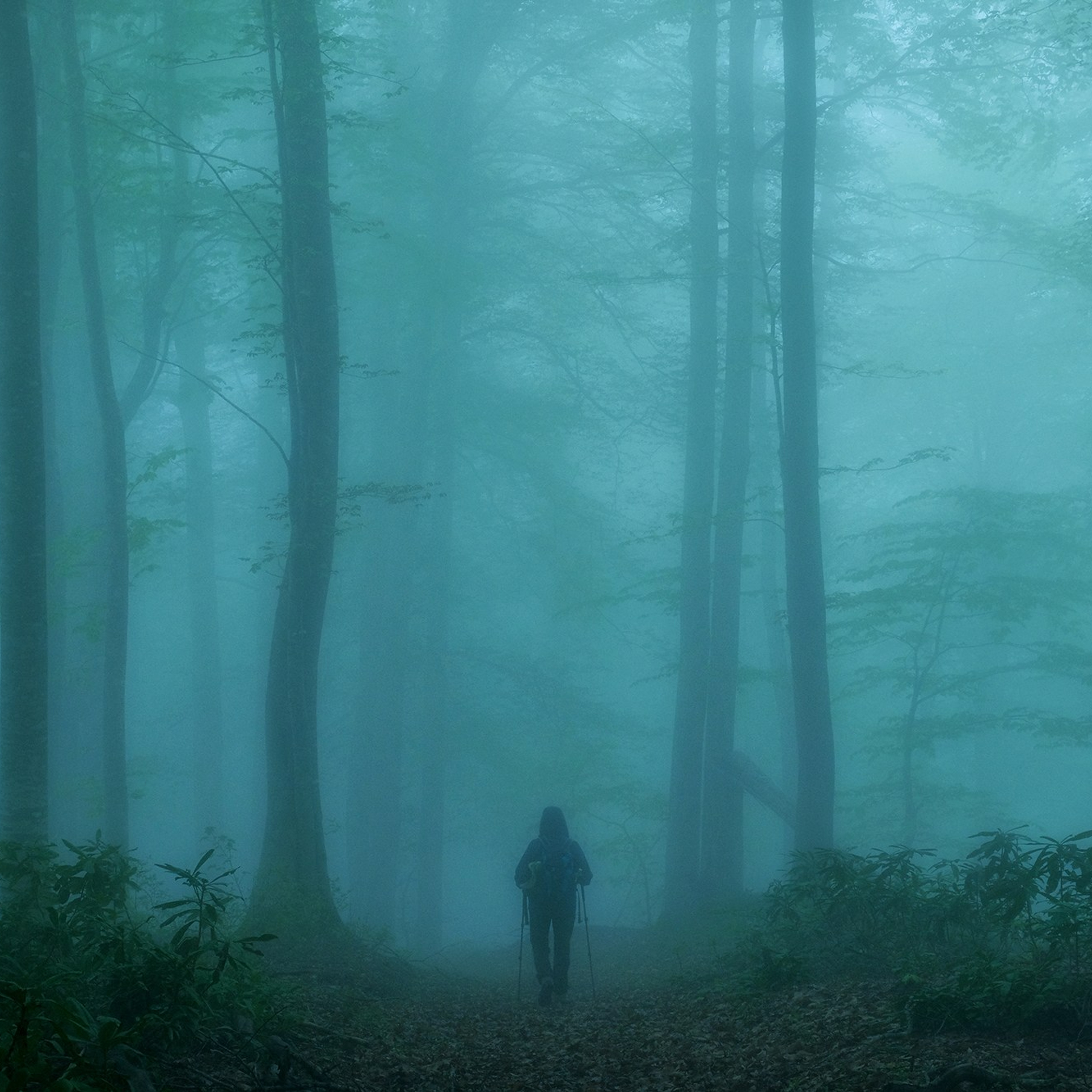 Грузия. Пейзажный фотограф Олеся Федосеенкова. Фудфотограф в Туапсе, Краснодар