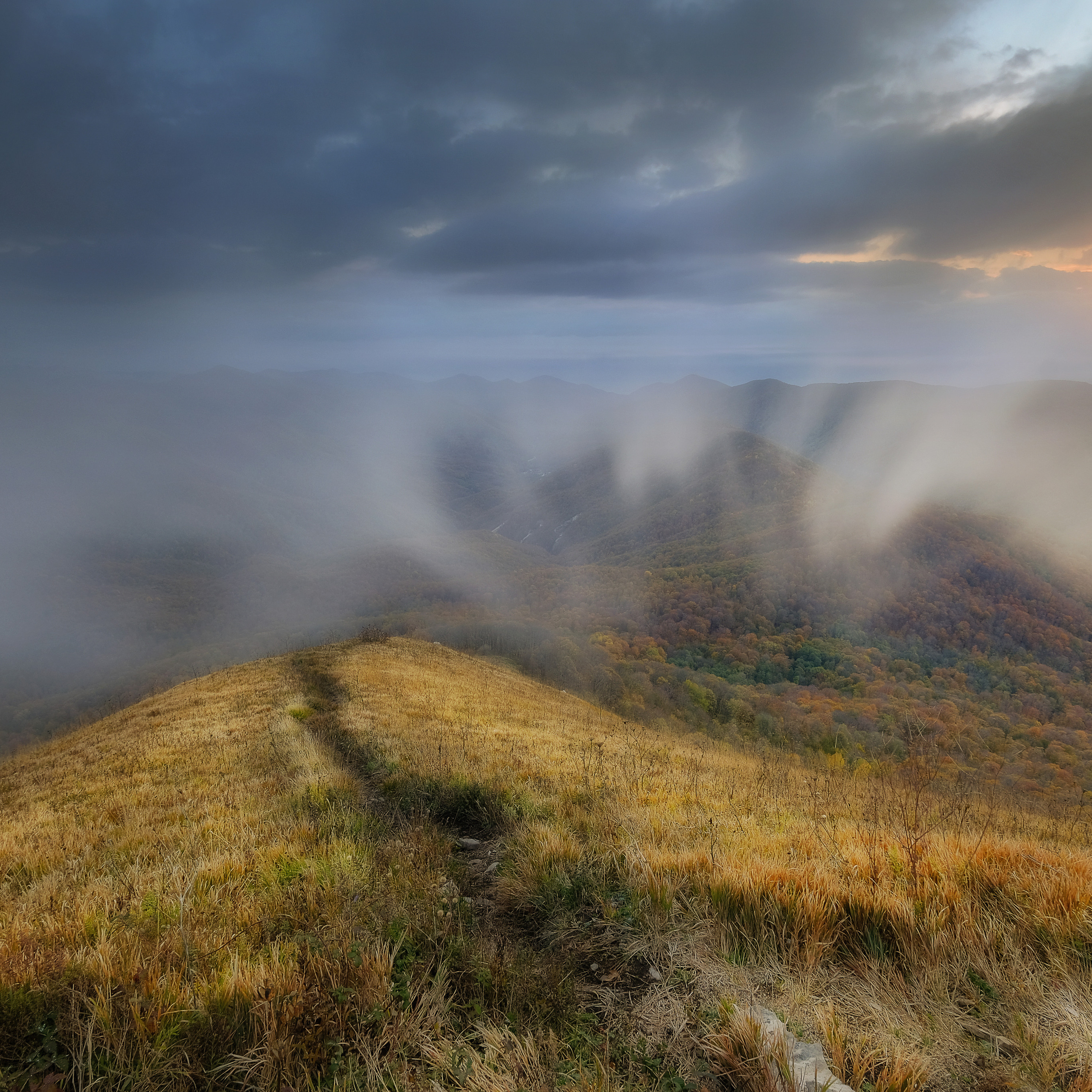 Краснодарский край и Адыгея. Пейзажный фотограф Олеся Федосеенкова. Фудфотограф в Туапсе, Краснодар