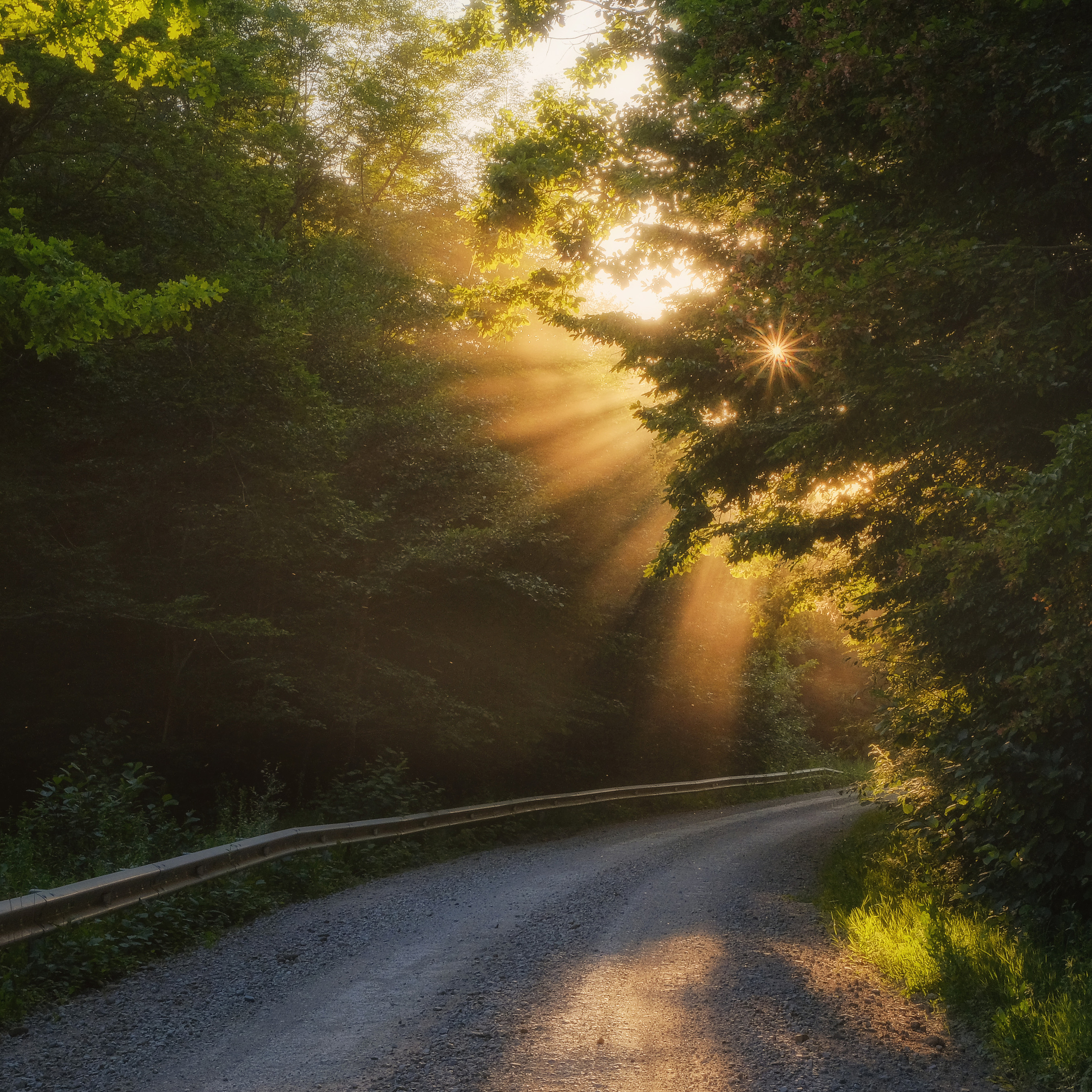 Краснодарский край и Адыгея. Пейзажный фотограф Олеся Федосеенкова. Фудфотограф в Туапсе, Краснодар