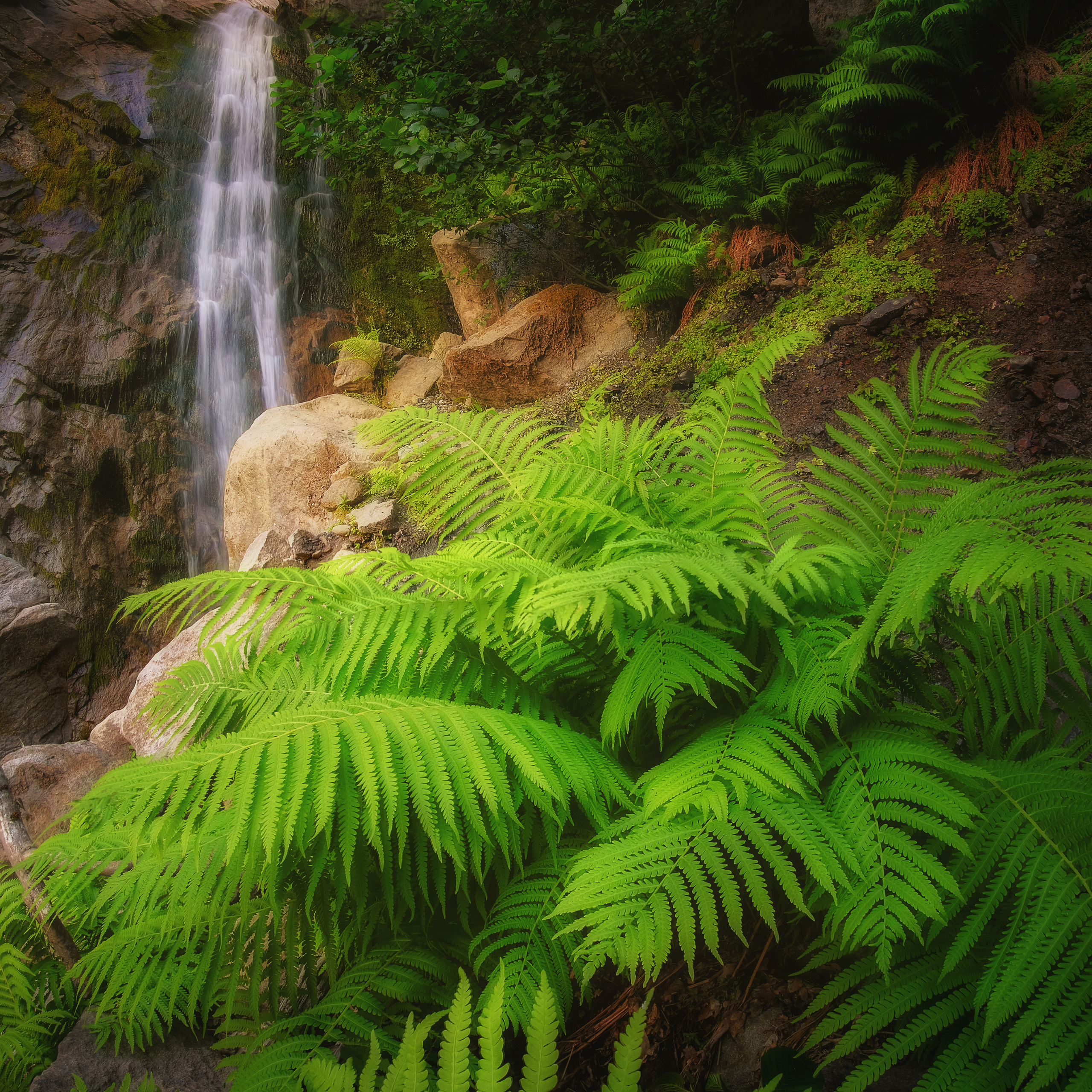 Живая вода. Пейзажный фотограф Олеся Федосеенкова. Фудфотограф в Туапсе, Краснодар