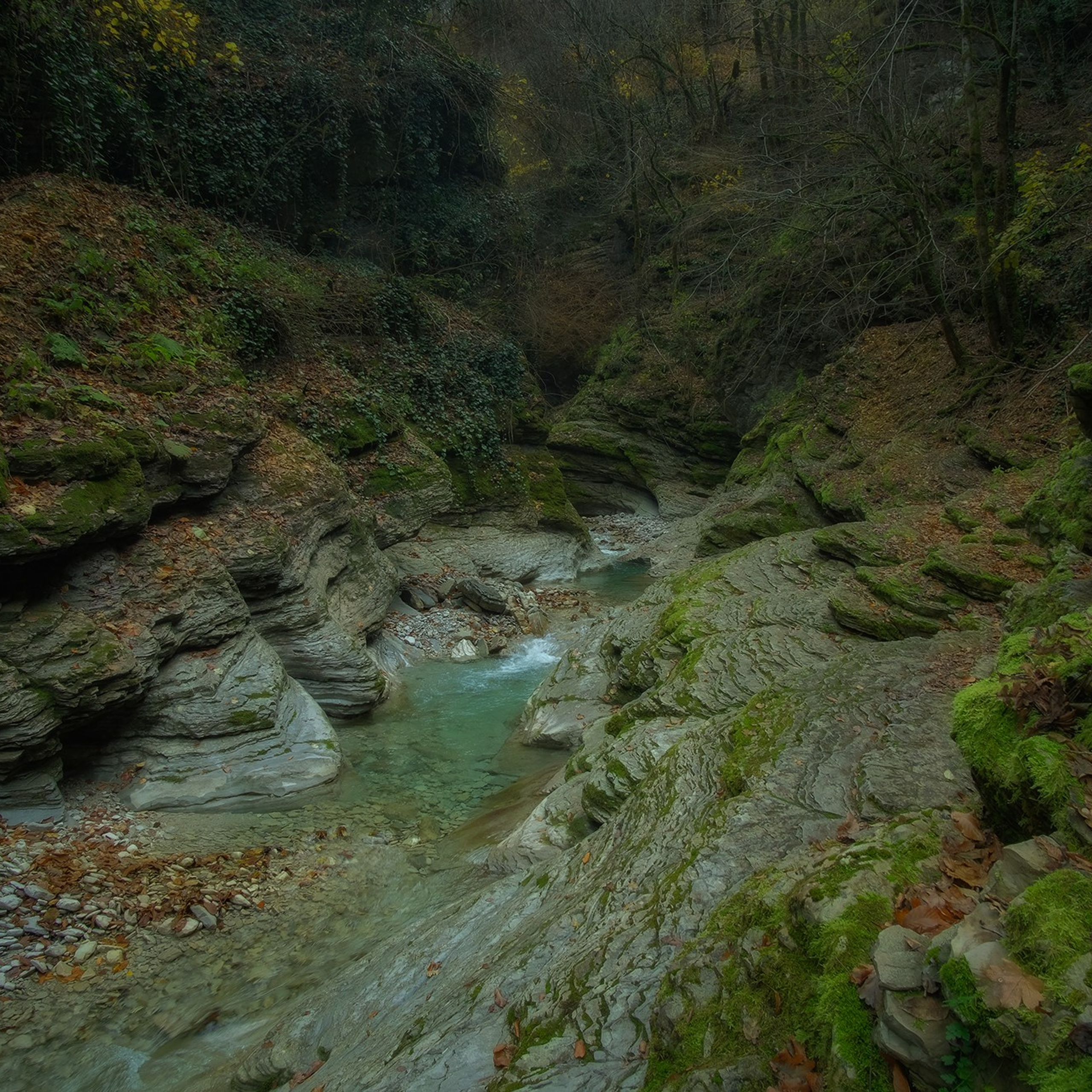 Краснодарский край и Адыгея. Пейзажный фотограф Олеся Федосеенкова. Фудфотограф в Туапсе, Краснодар