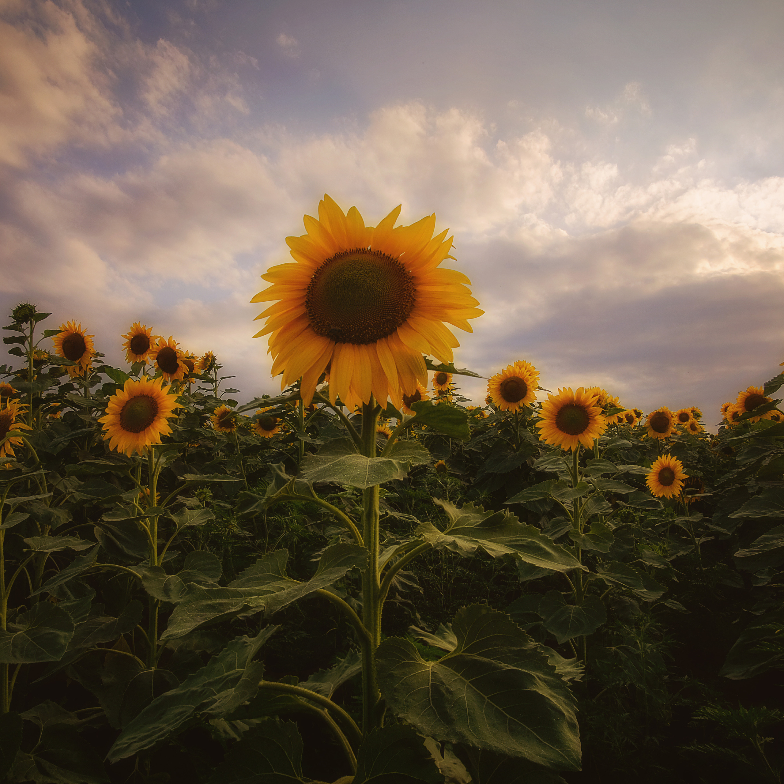Краснодарский край и Адыгея. Пейзажный фотограф Олеся Федосеенкова. Фудфотограф в Туапсе, Краснодар
