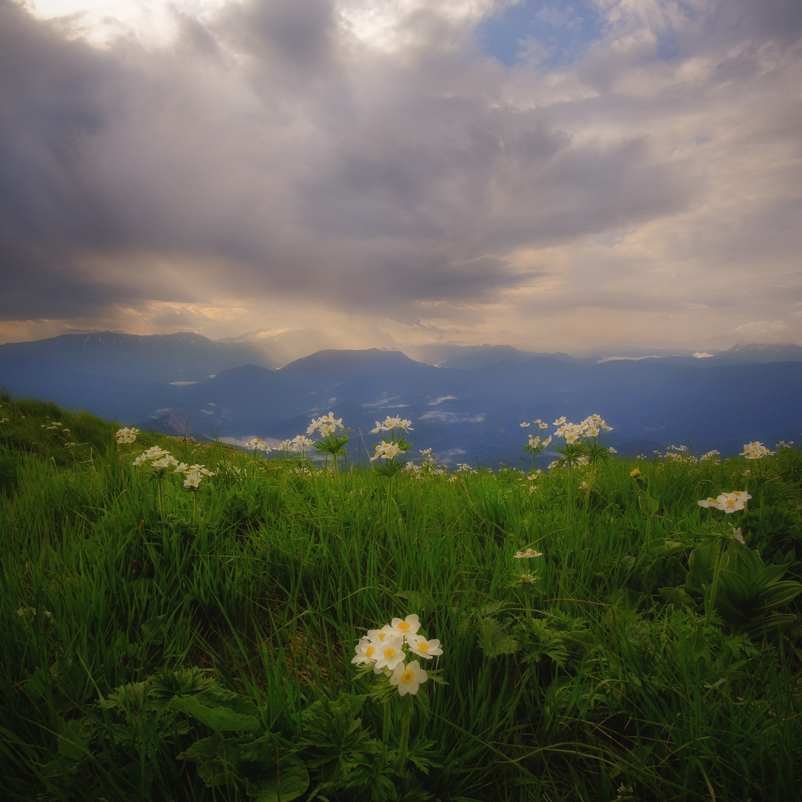 Краснодарский край и Адыгея. Пейзажный фотограф Олеся Федосеенкова. Фудфотограф в Туапсе, Краснодар