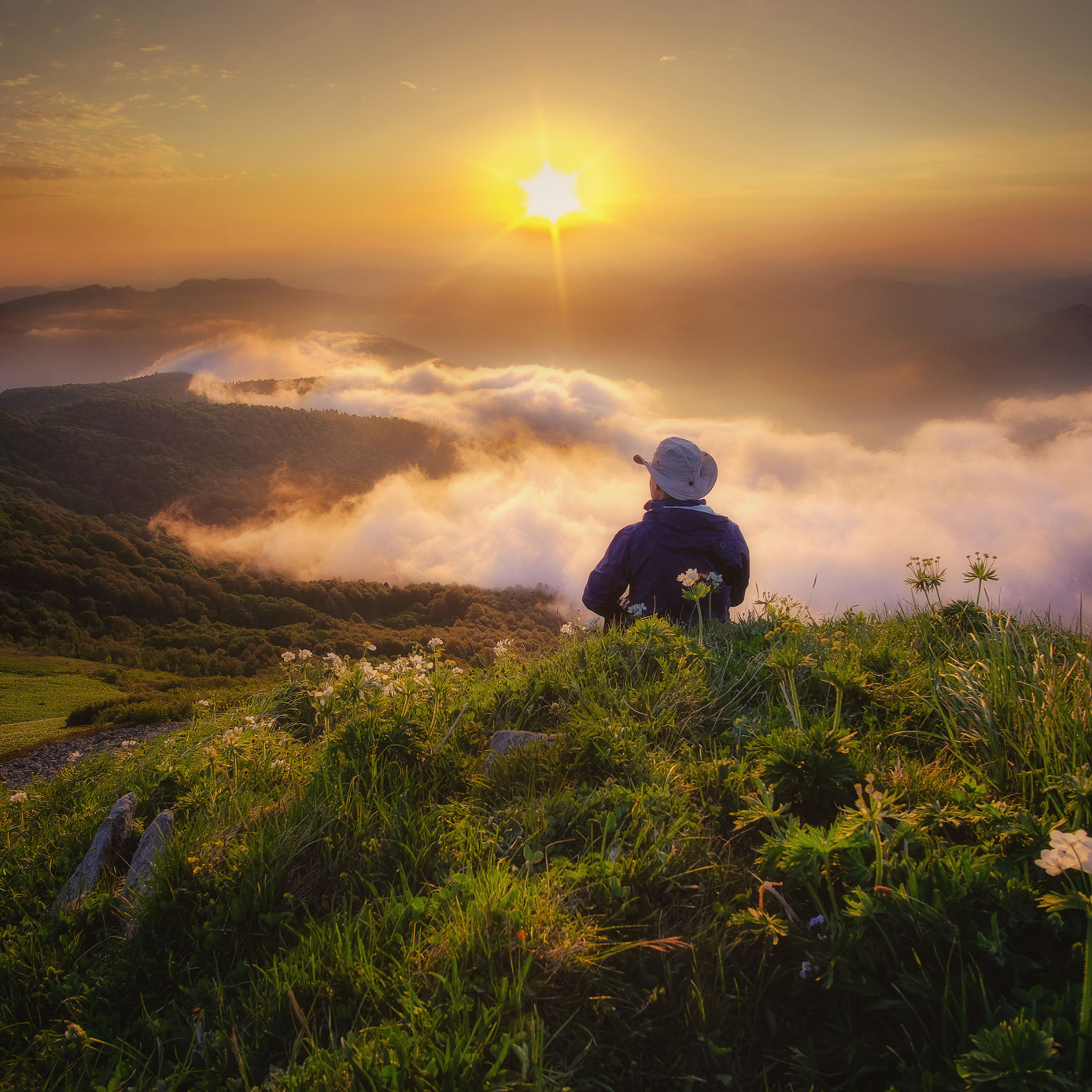 Краснодарский край и Адыгея. Пейзажный фотограф Олеся Федосеенкова. Фудфотограф в Туапсе, Краснодар