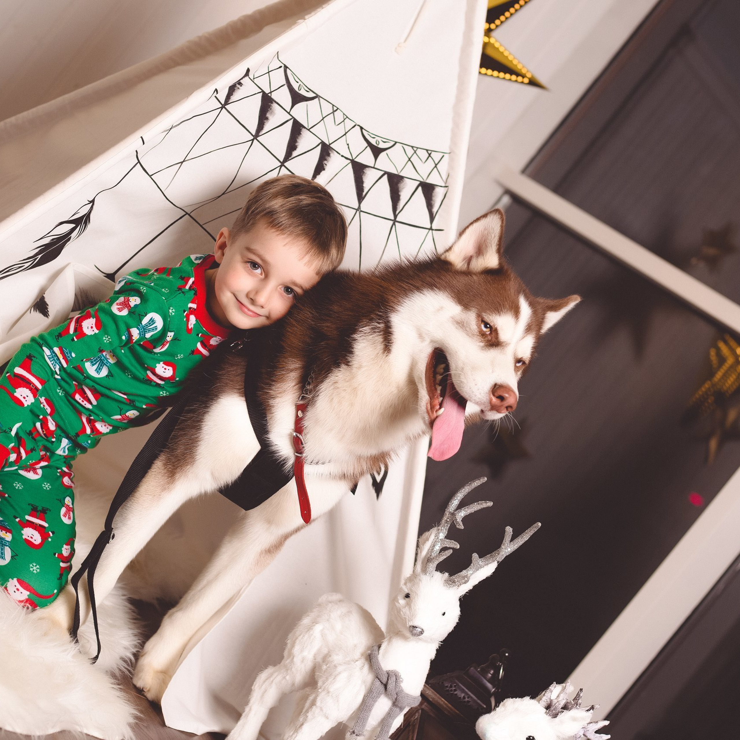 Отзывы. Фотограф Донецк ДНР, Ростов-на-Дону