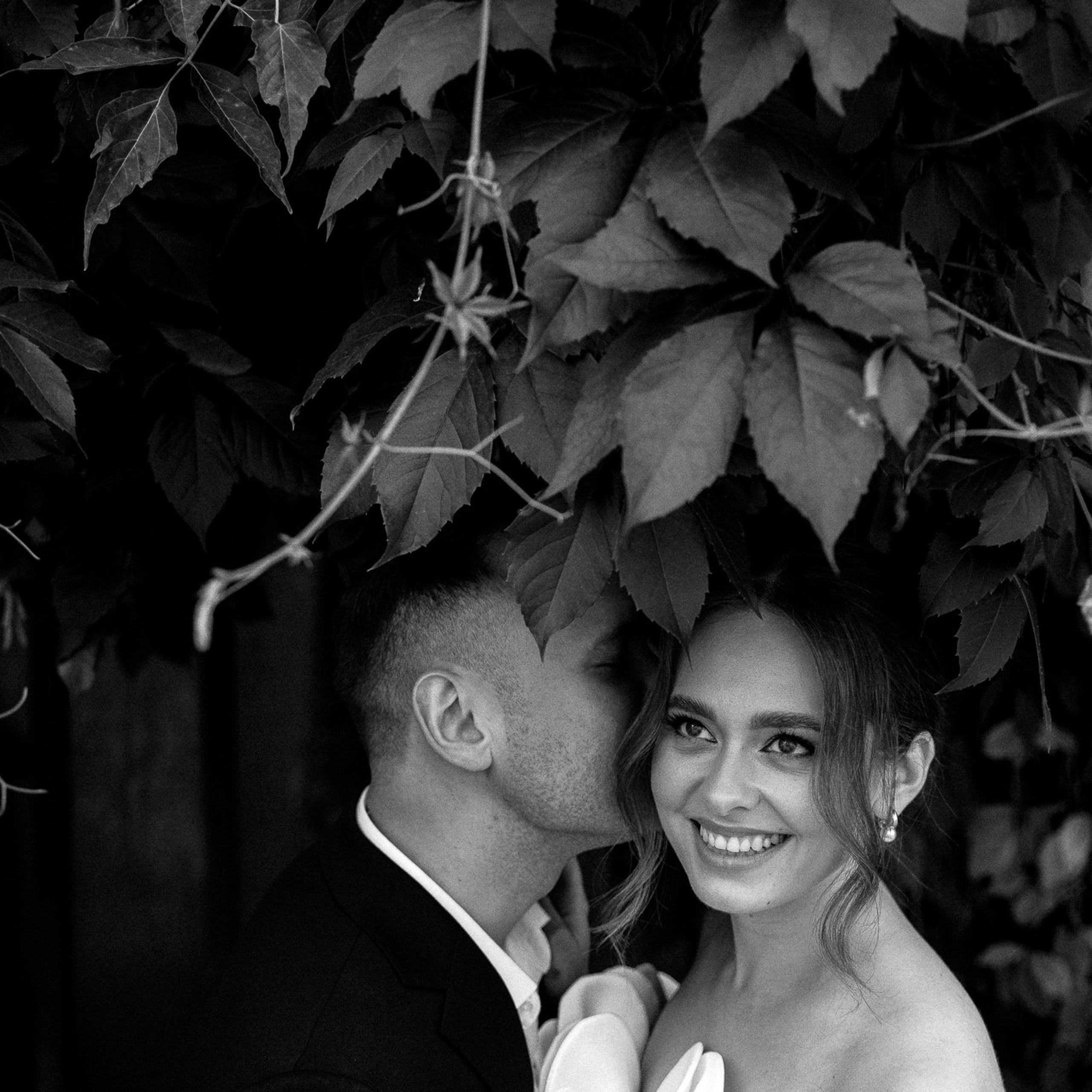 Там, где звёзды