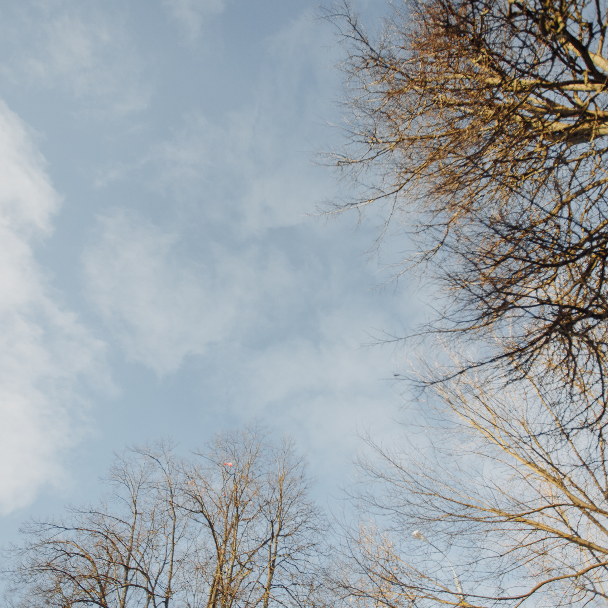 Отзывы. Свадебный и портретный фотограф в Королёве Сергей Чихарев