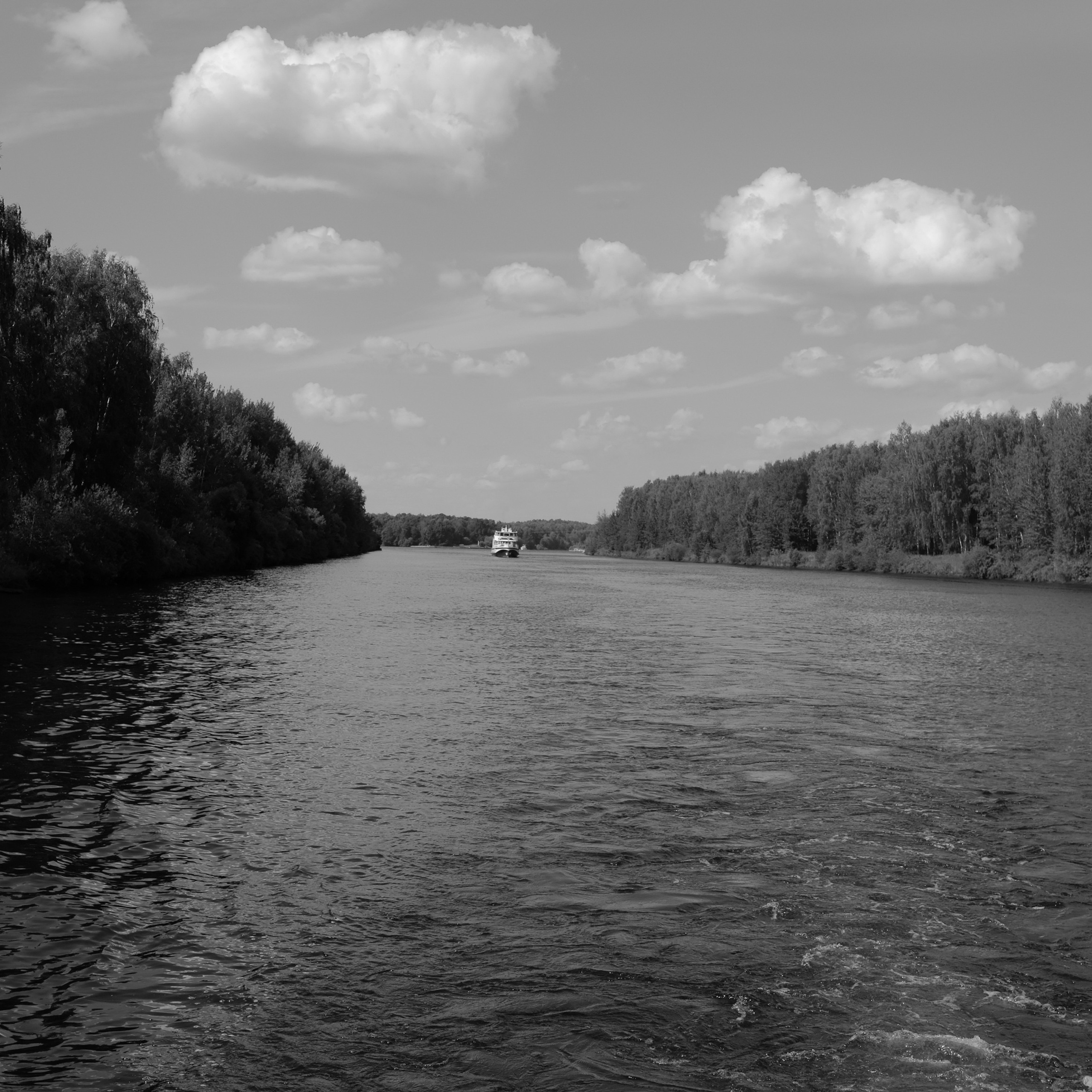 Отзывы. Свадебный и портретный фотограф в Королёве Сергей Чихарев