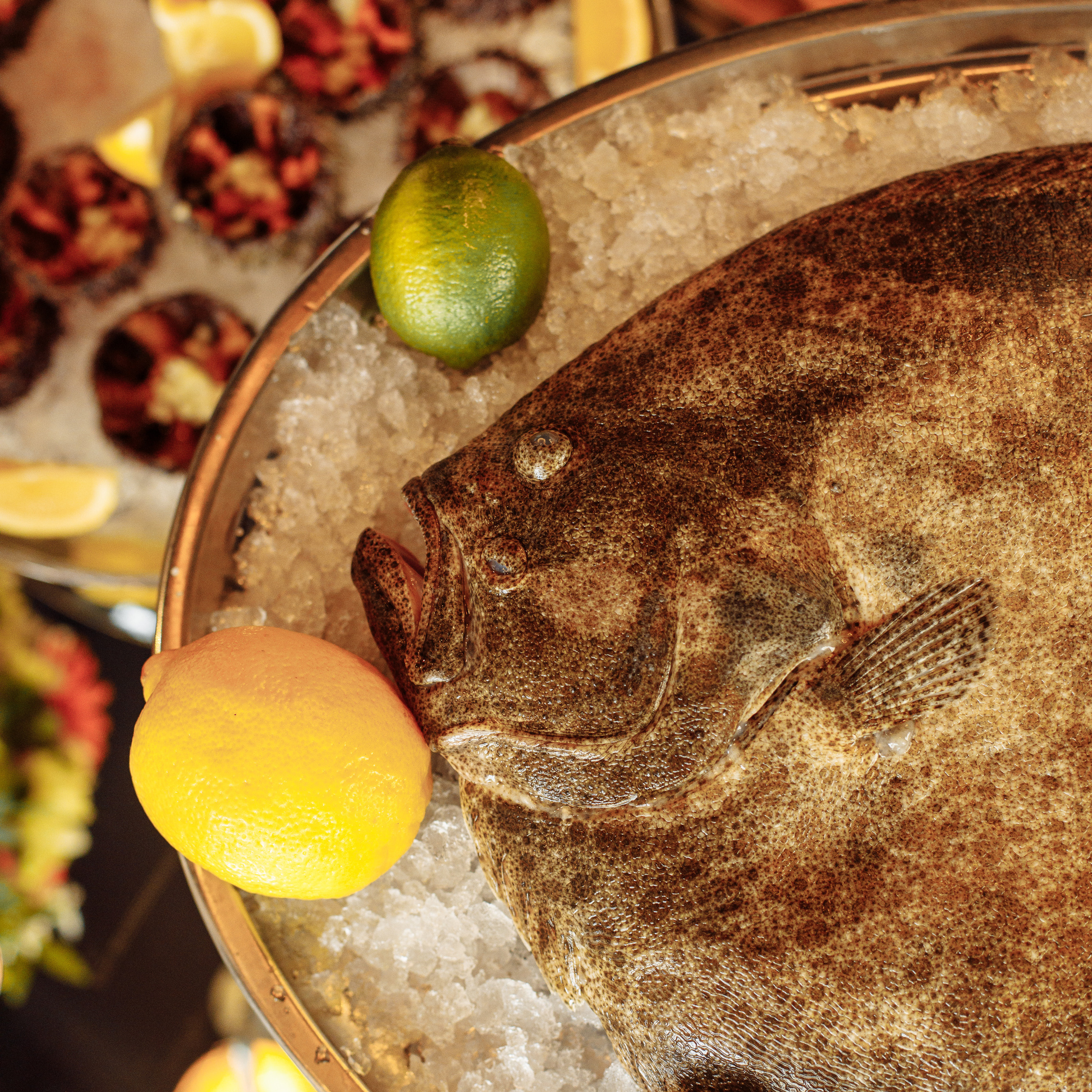 День рождения в 39BAR