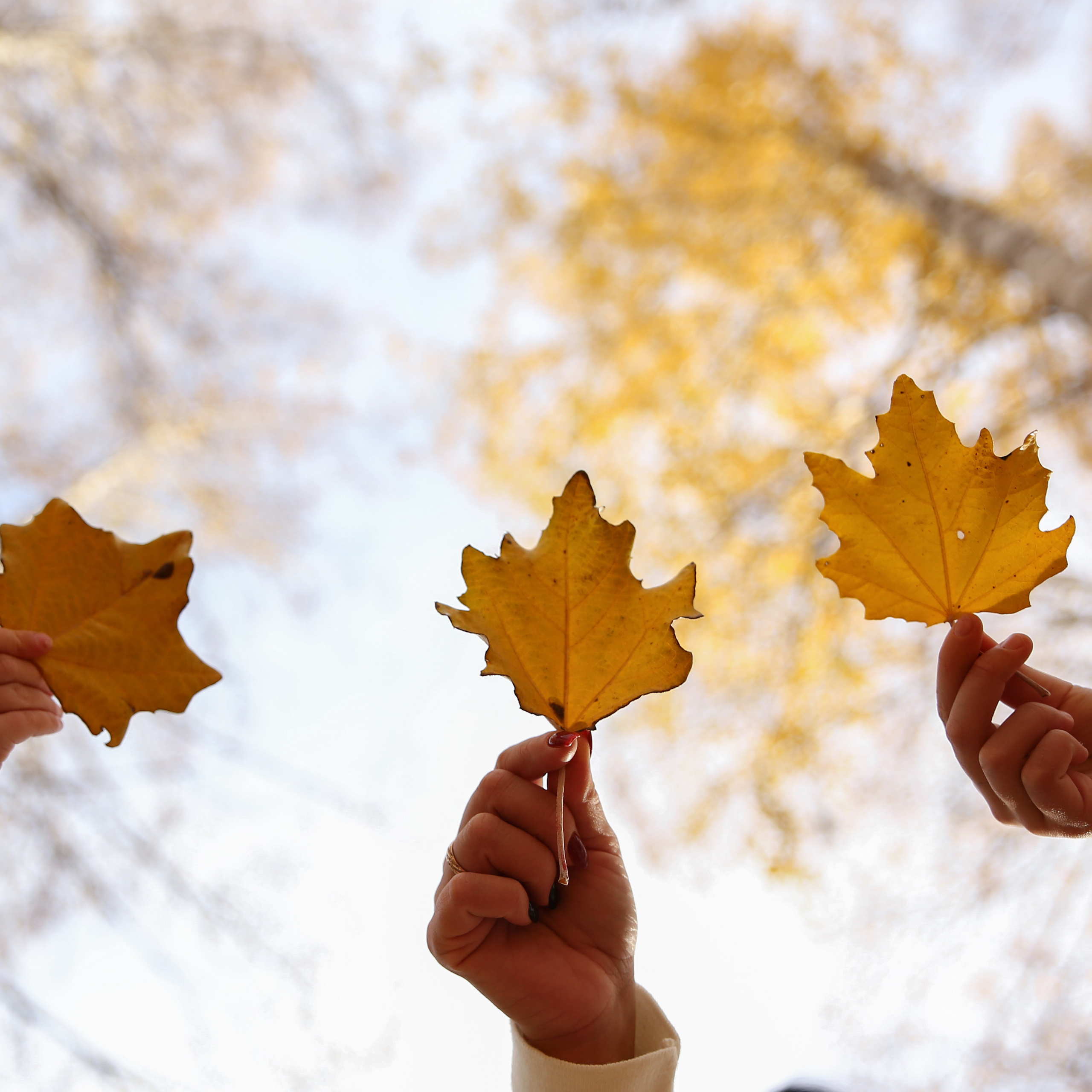 Отзывы о фотографе Марии Донцу. Семейный и свадебный фотограф в Самаре и Кинеле Мария Донцу